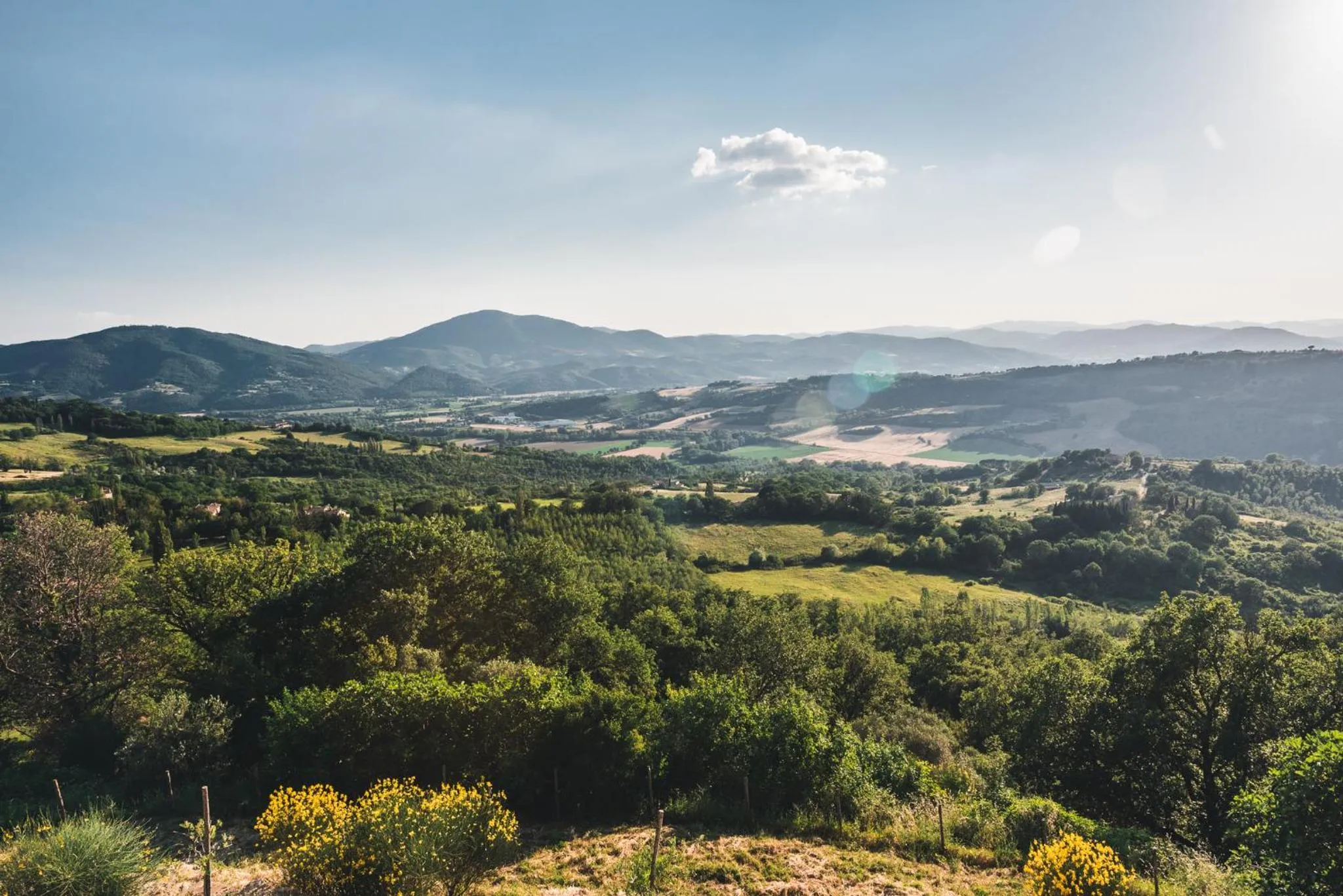 Natural landscape in Nikis Resort