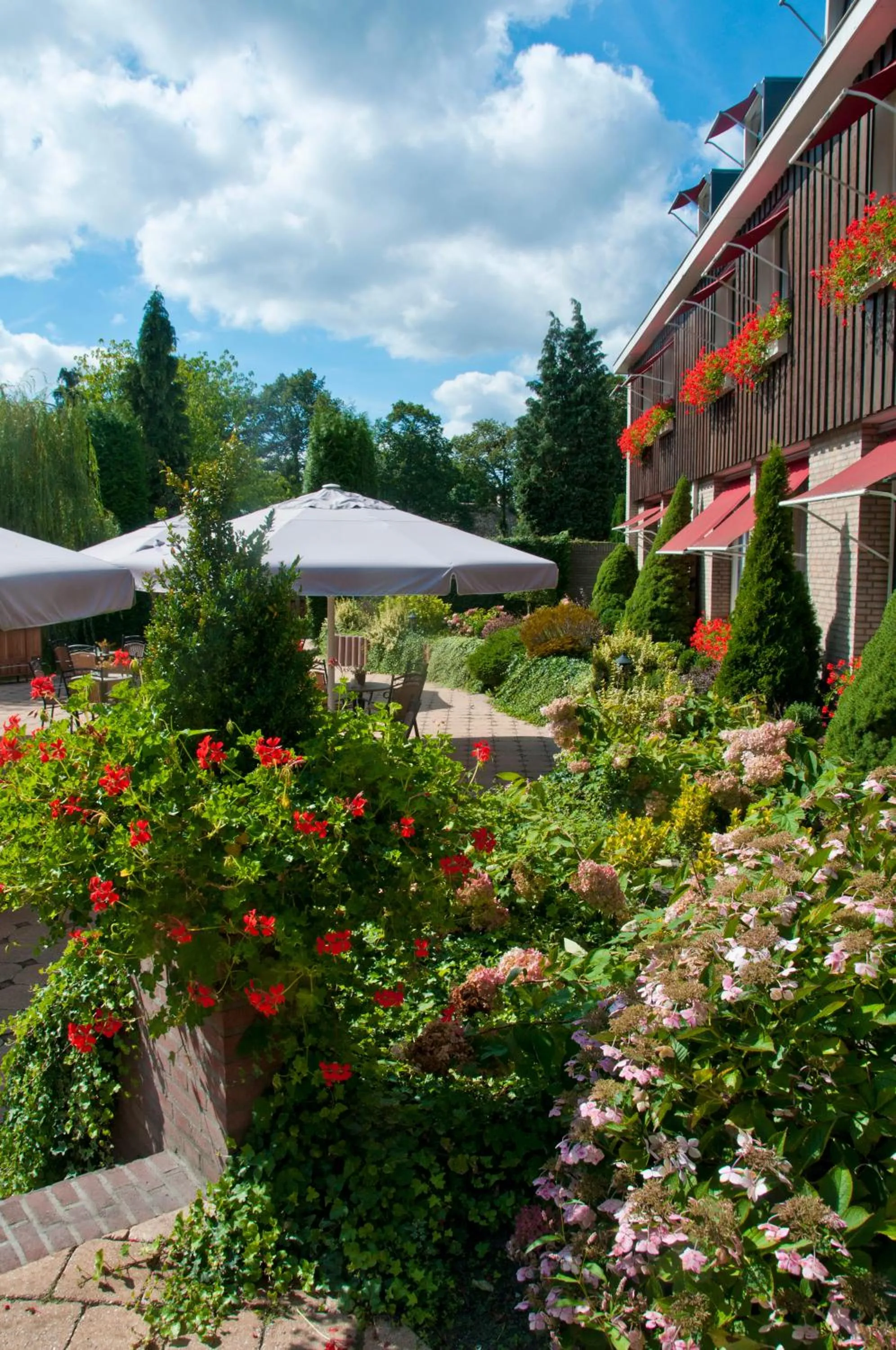 Balcony/Terrace in Hotel Steensel