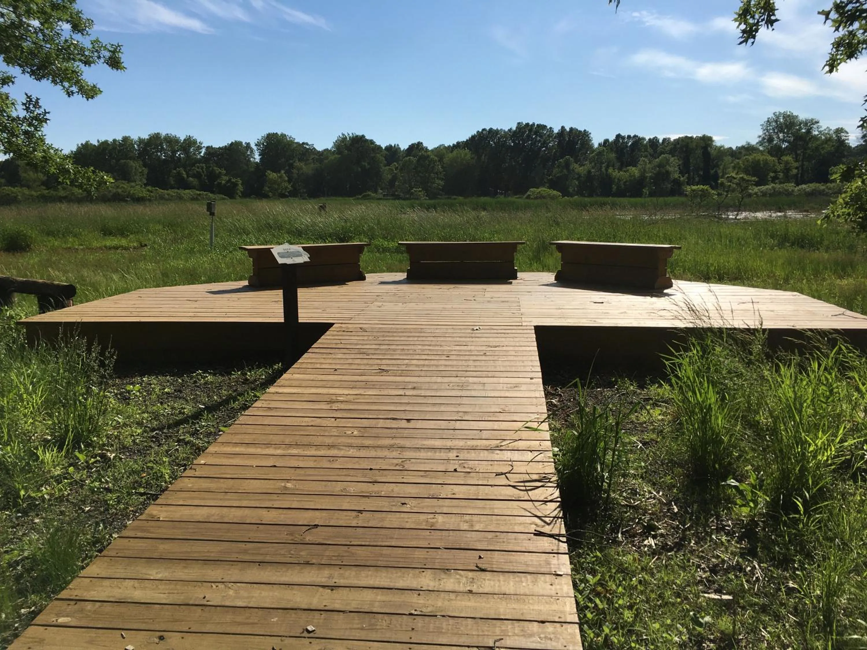 Natural landscape in Your Midwest Dunes Vacation Tri-State Paradise!