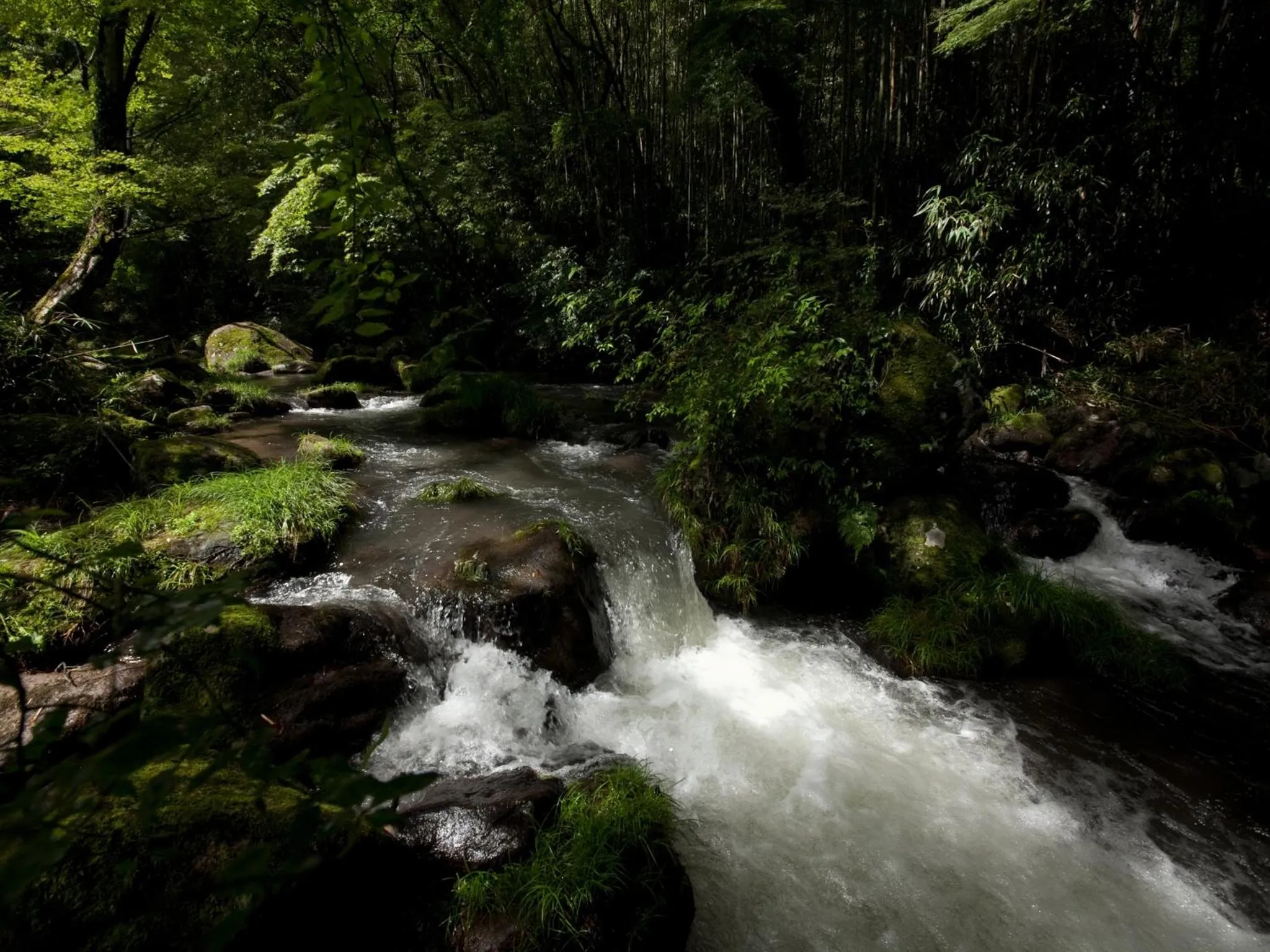 Natural landscape in Yufuin Gettouan