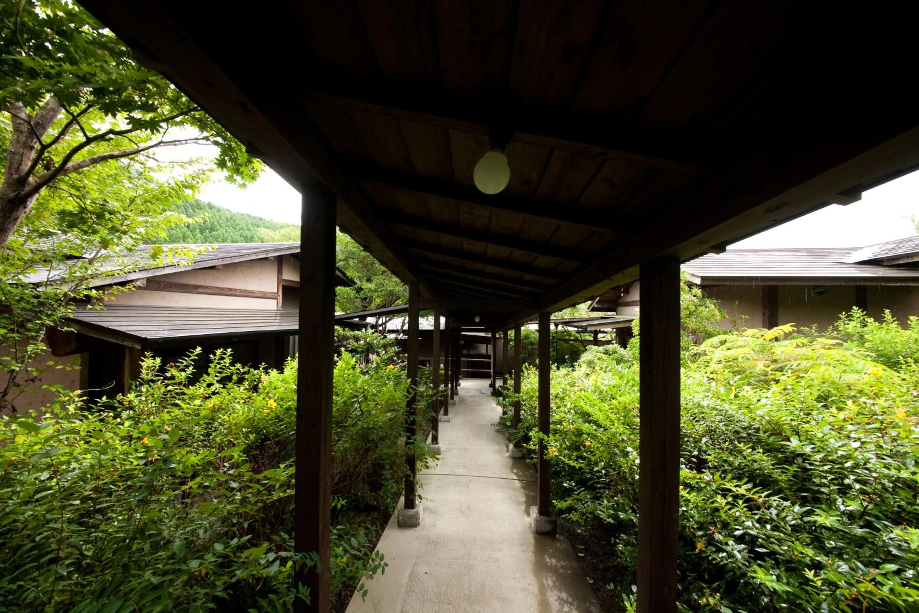 Other in Yufuin Gettouan