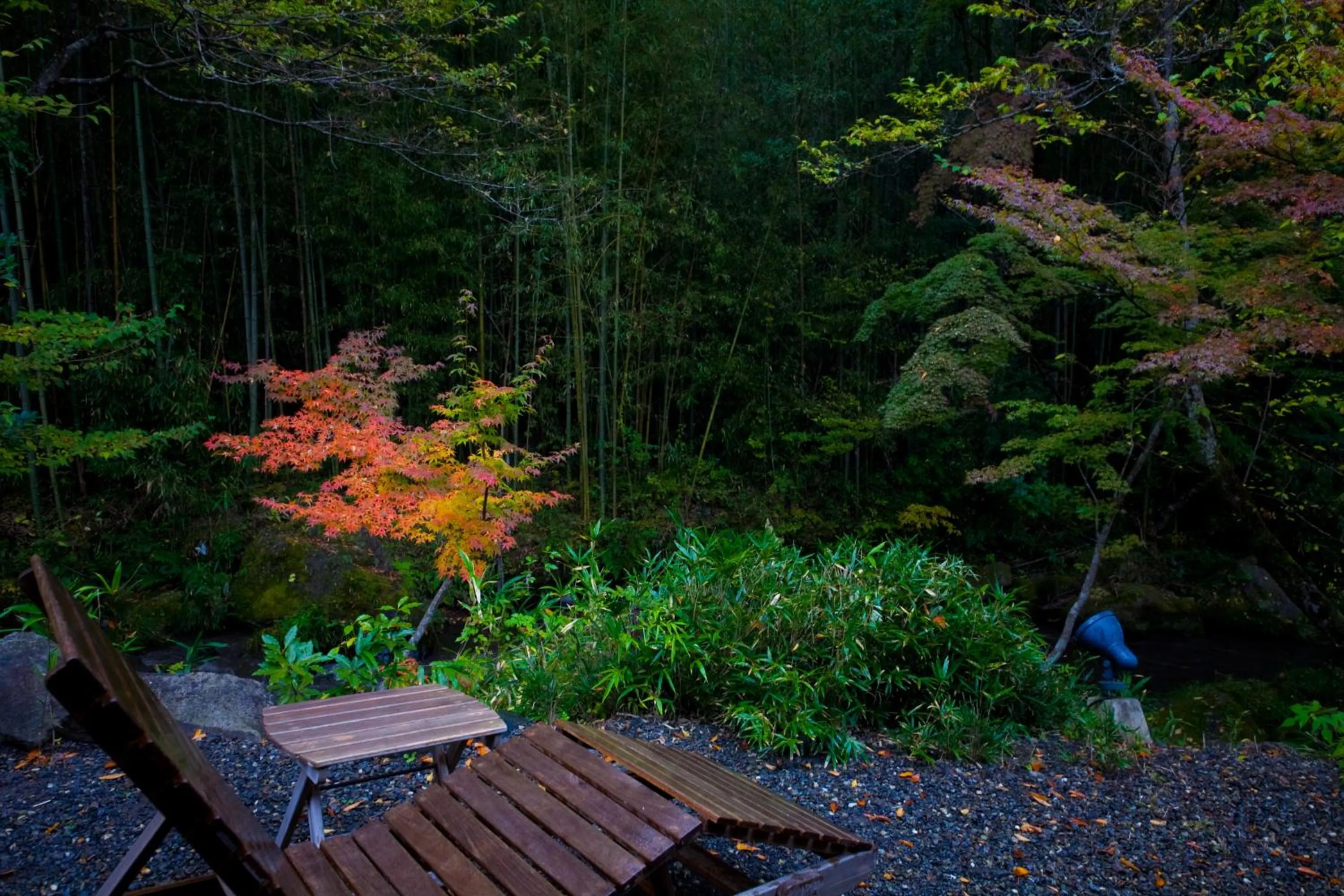 Natural landscape in Yufuin Gettouan