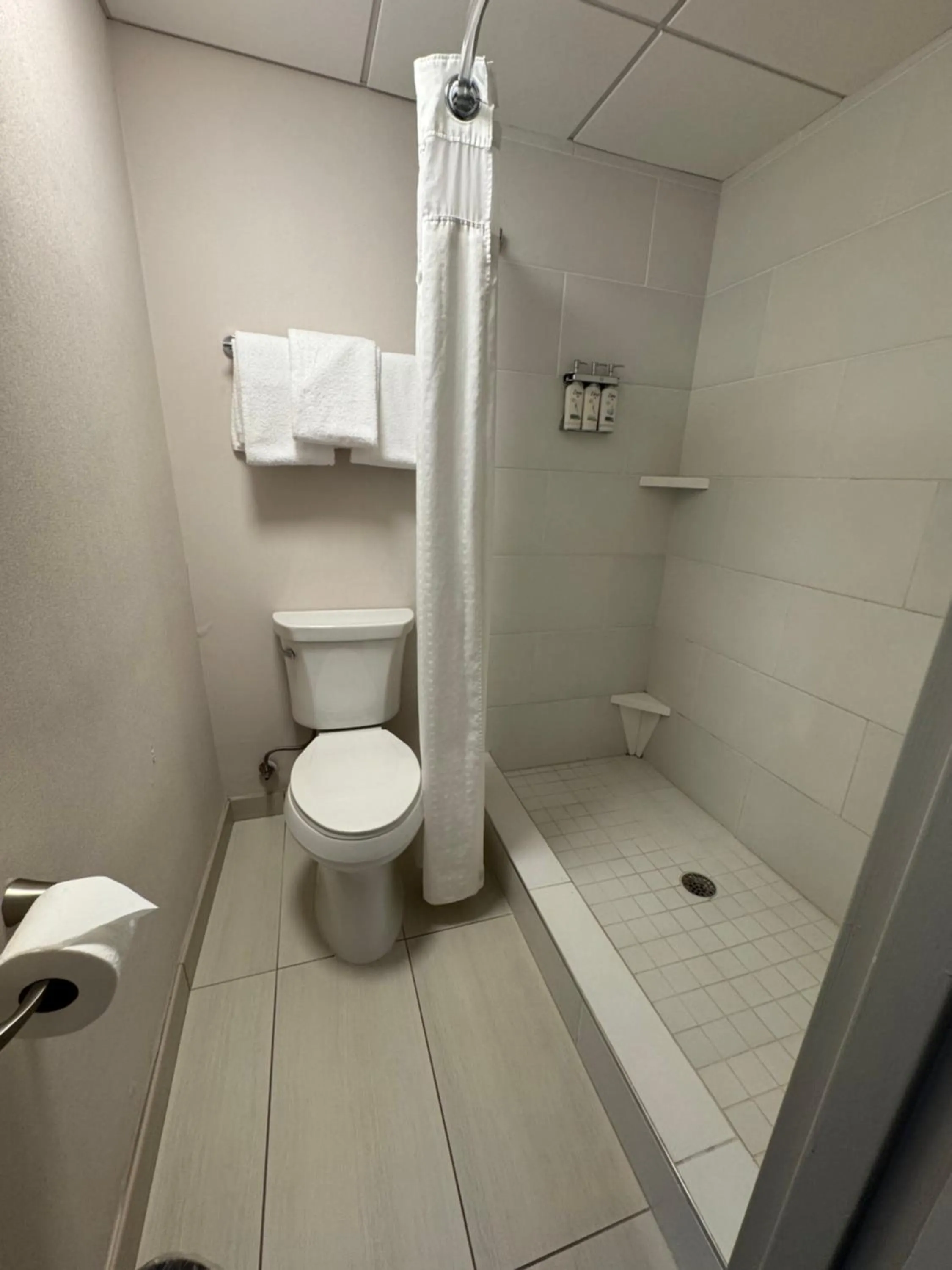 Holiday Inn Express & Suites - Atlanta Downtown by IHG