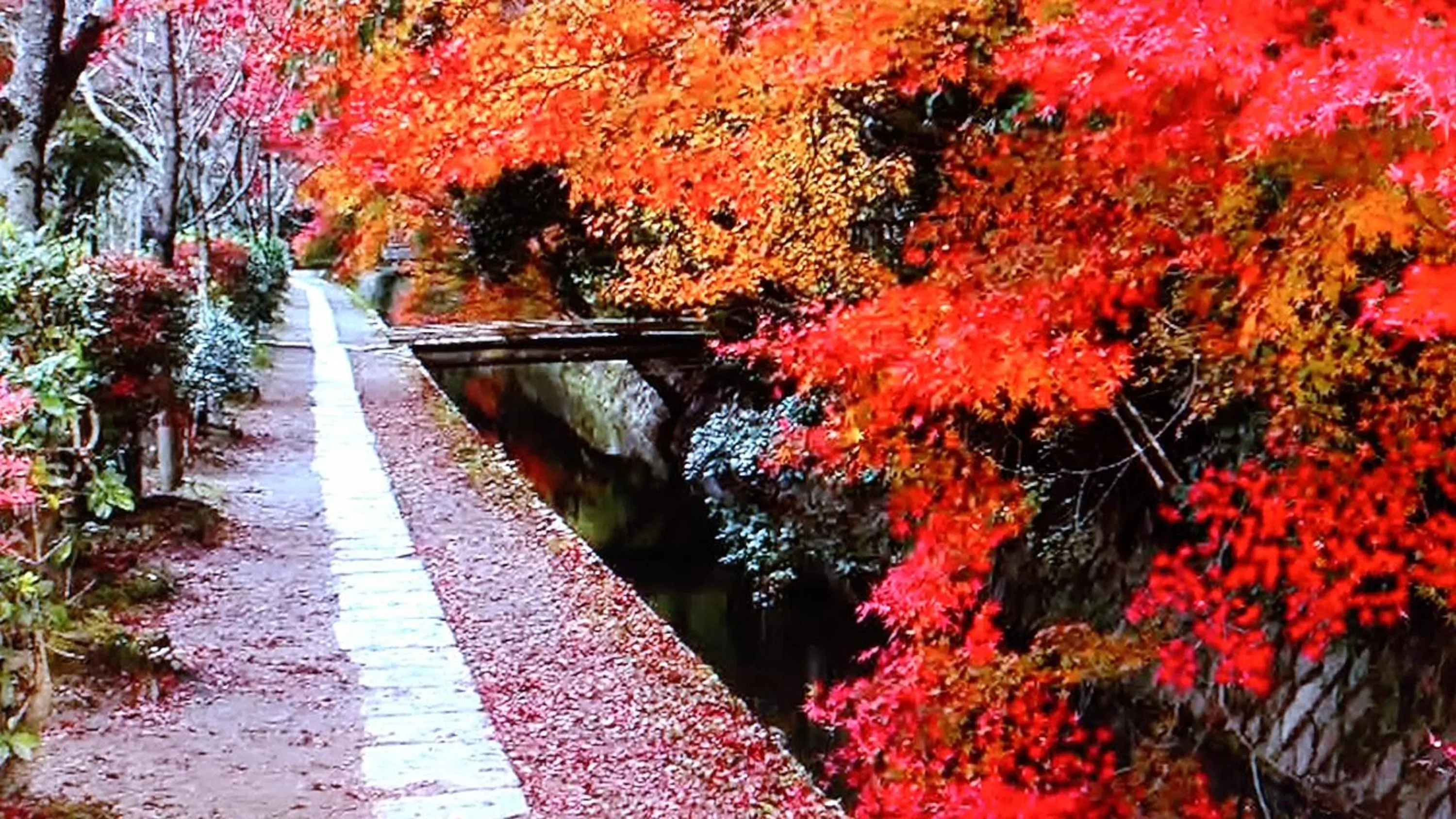 Nearby landmark in Kyo No Yado Nishioji inn