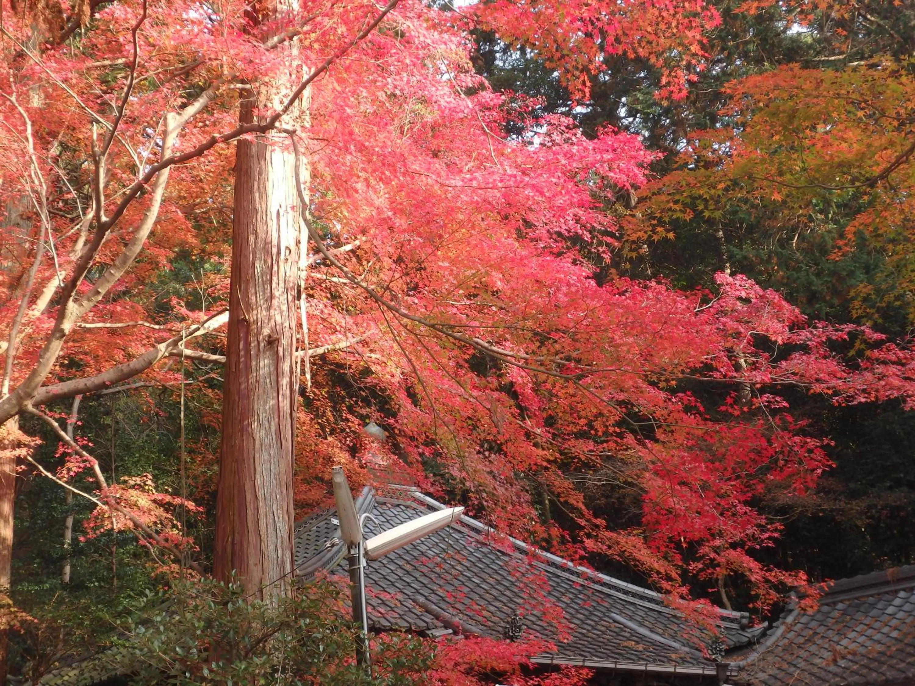 Nearby landmark in Kyo No Yado Nishioji inn