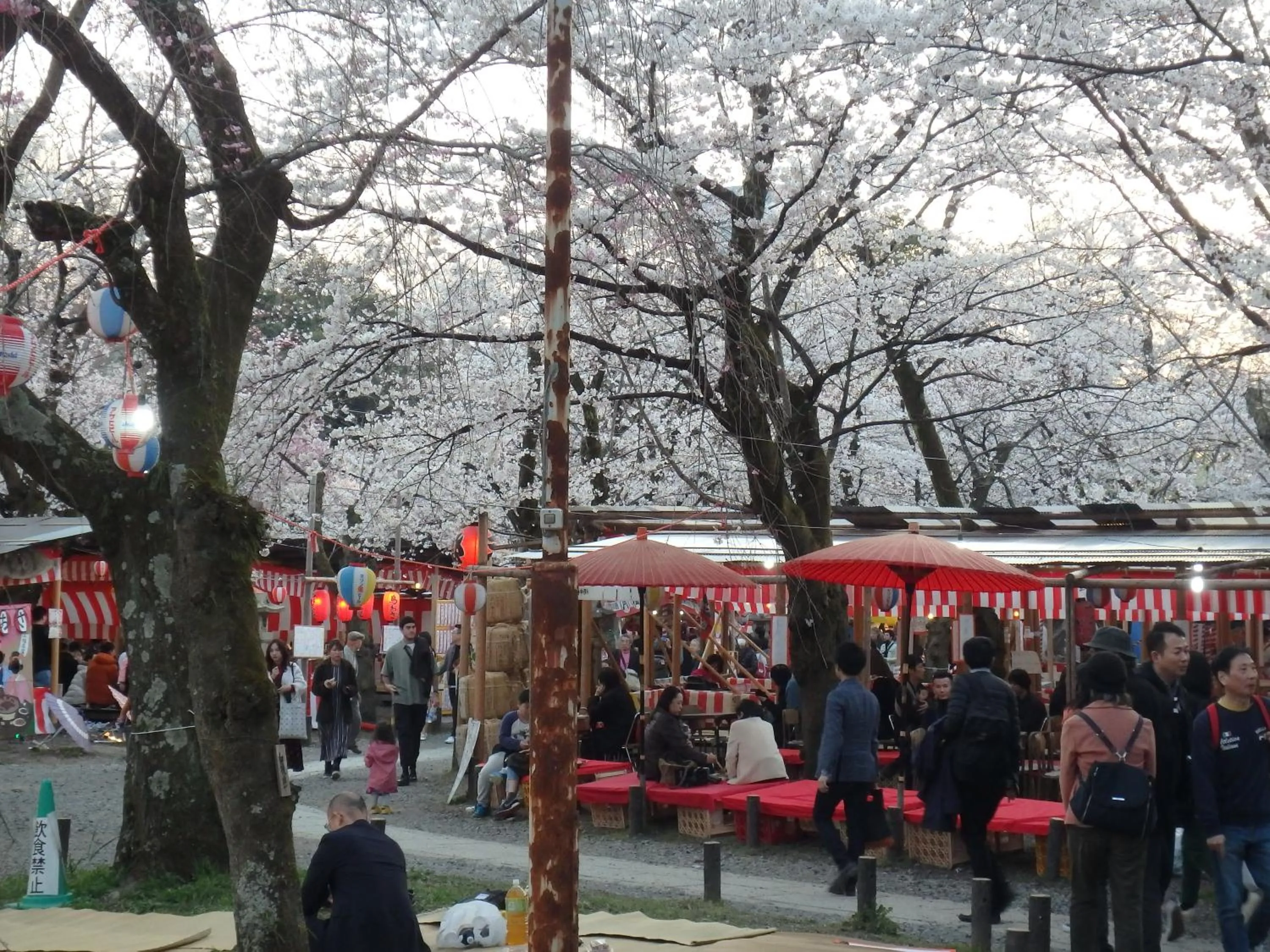 Spring in Kyo No Yado Nishioji inn