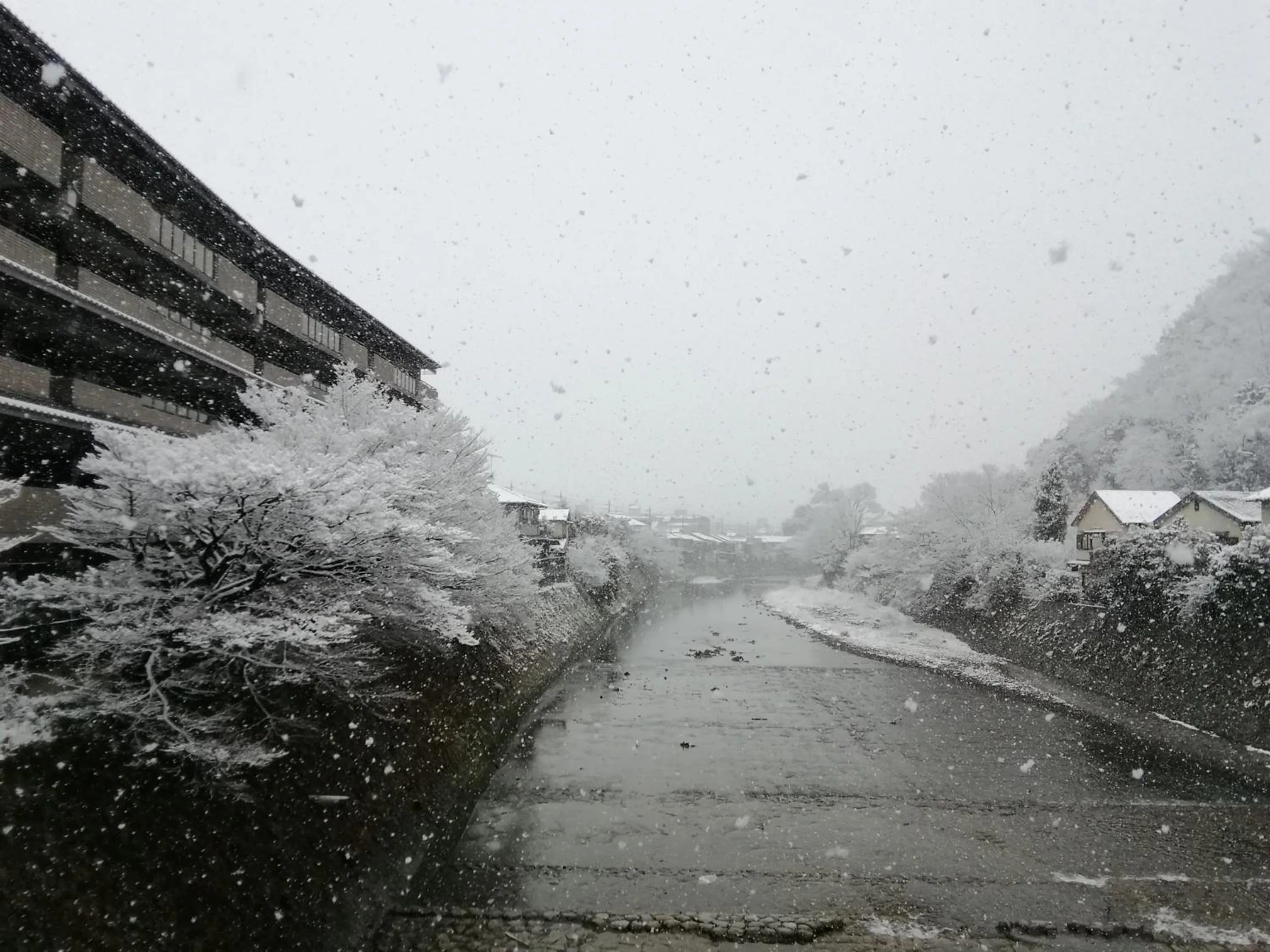 Natural landscape in Kyo No Yado Nishioji inn