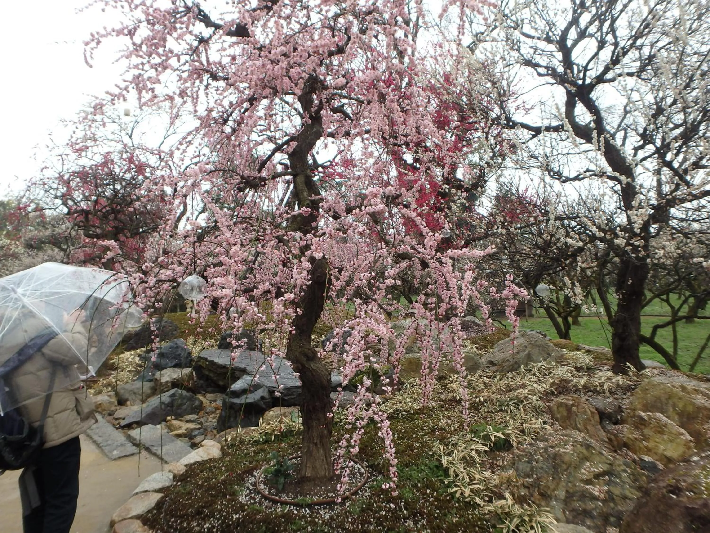 Nearby landmark in Kyo No Yado Nishioji inn