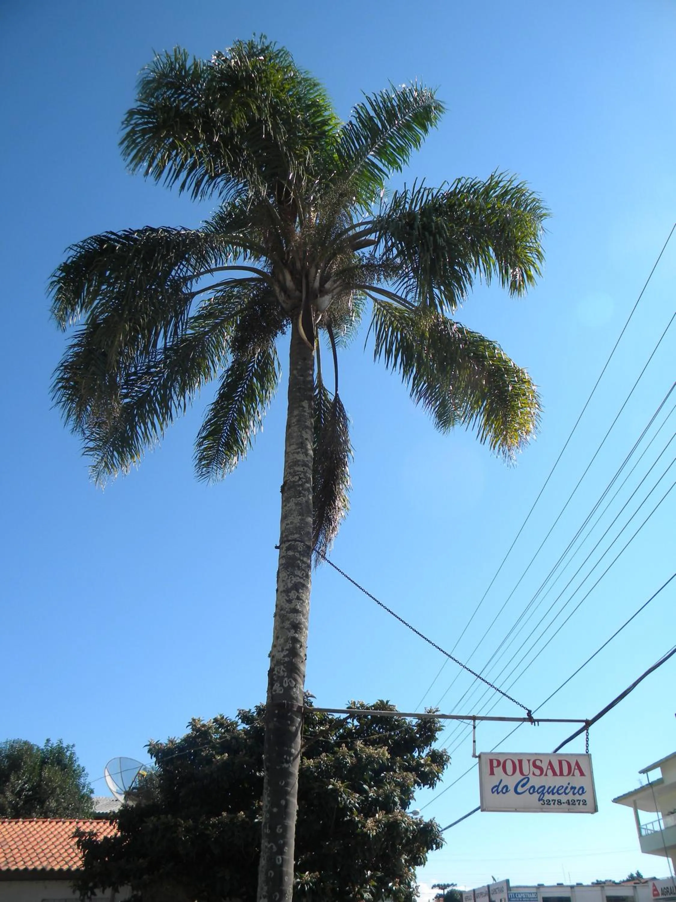 Facade/entrance in Pousada do Coqueiro