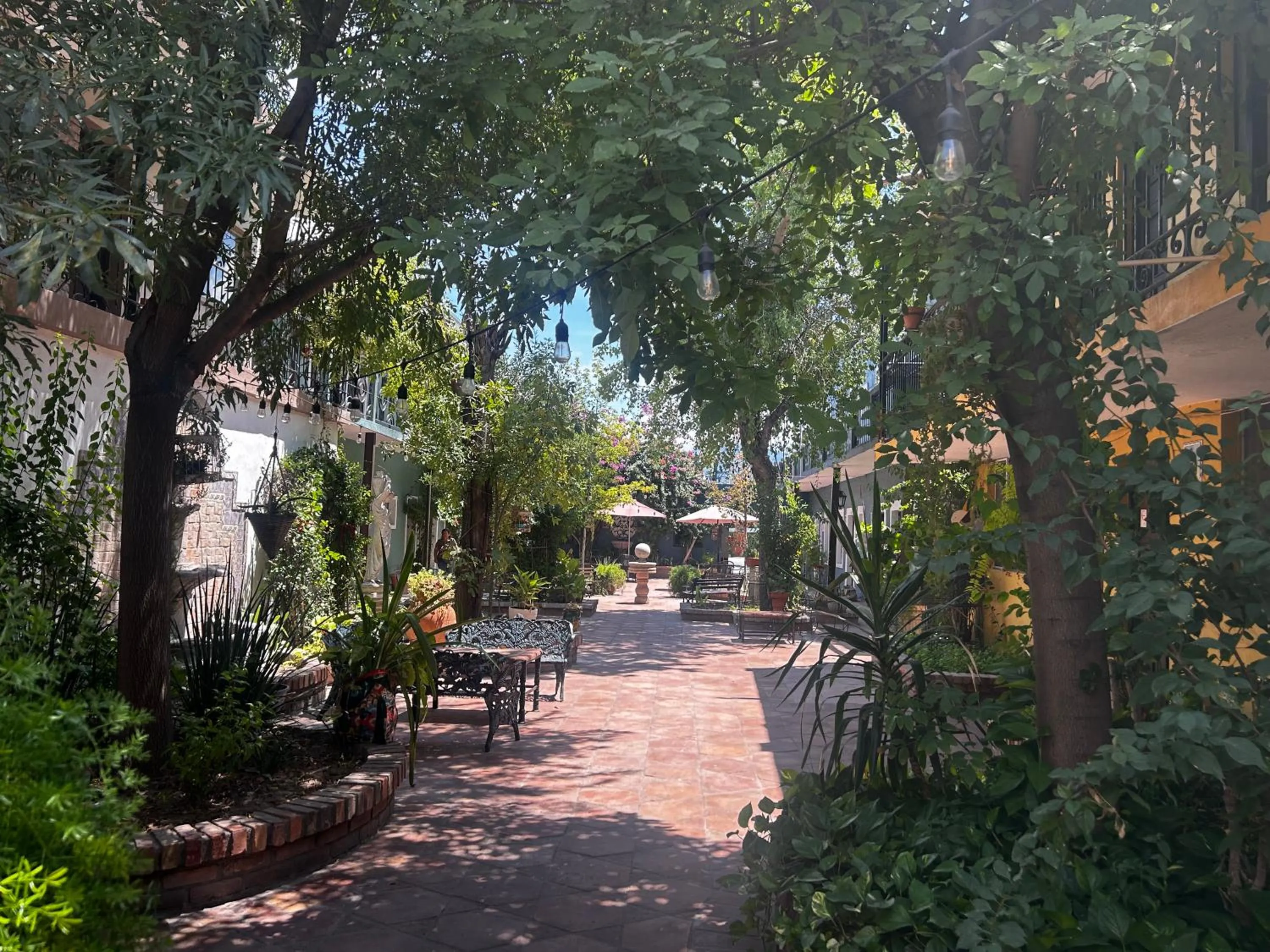 Property building in Hotel Olimpia Centro Histórico