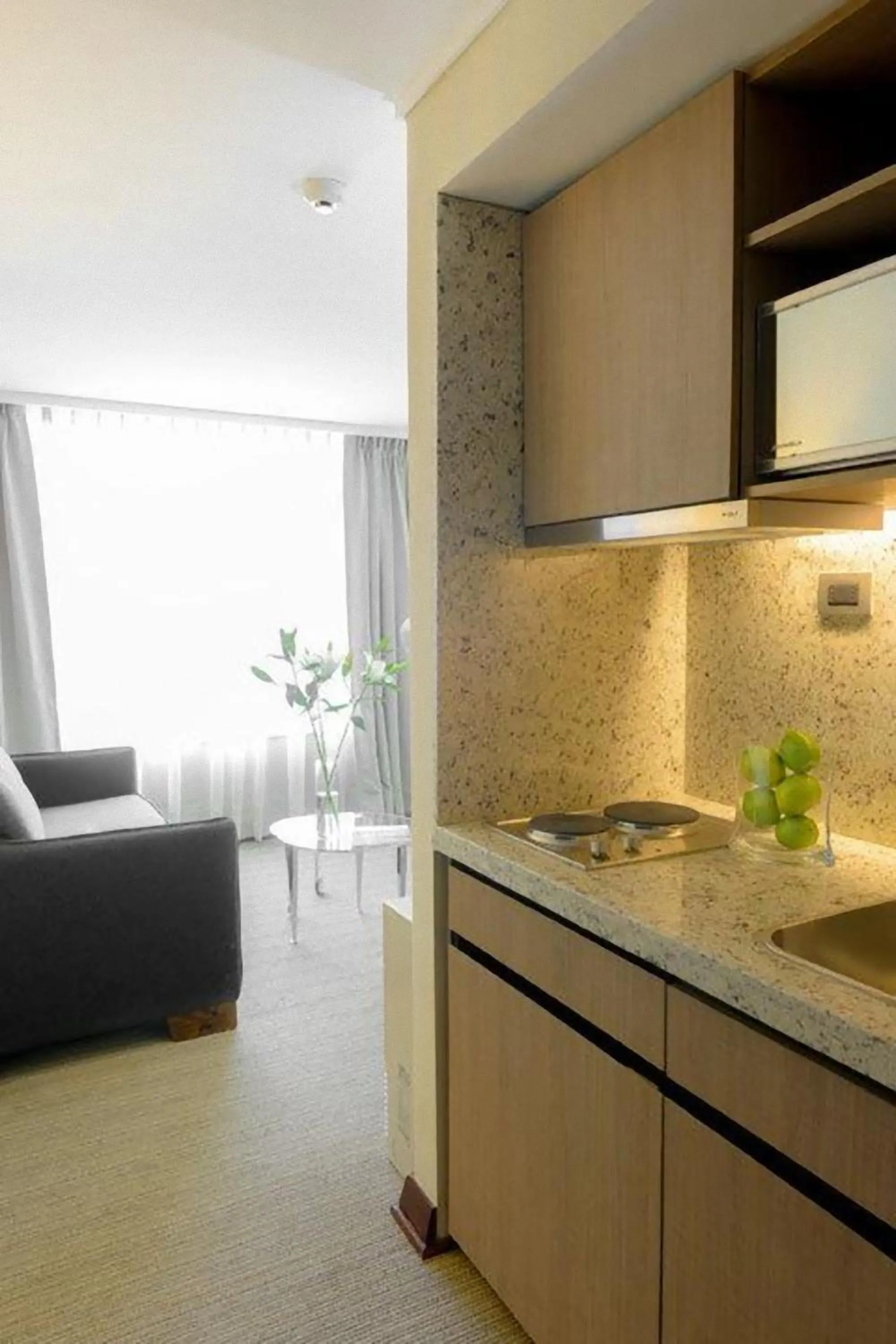 Kitchen or kitchenette in abba Presidente Suites Santiago