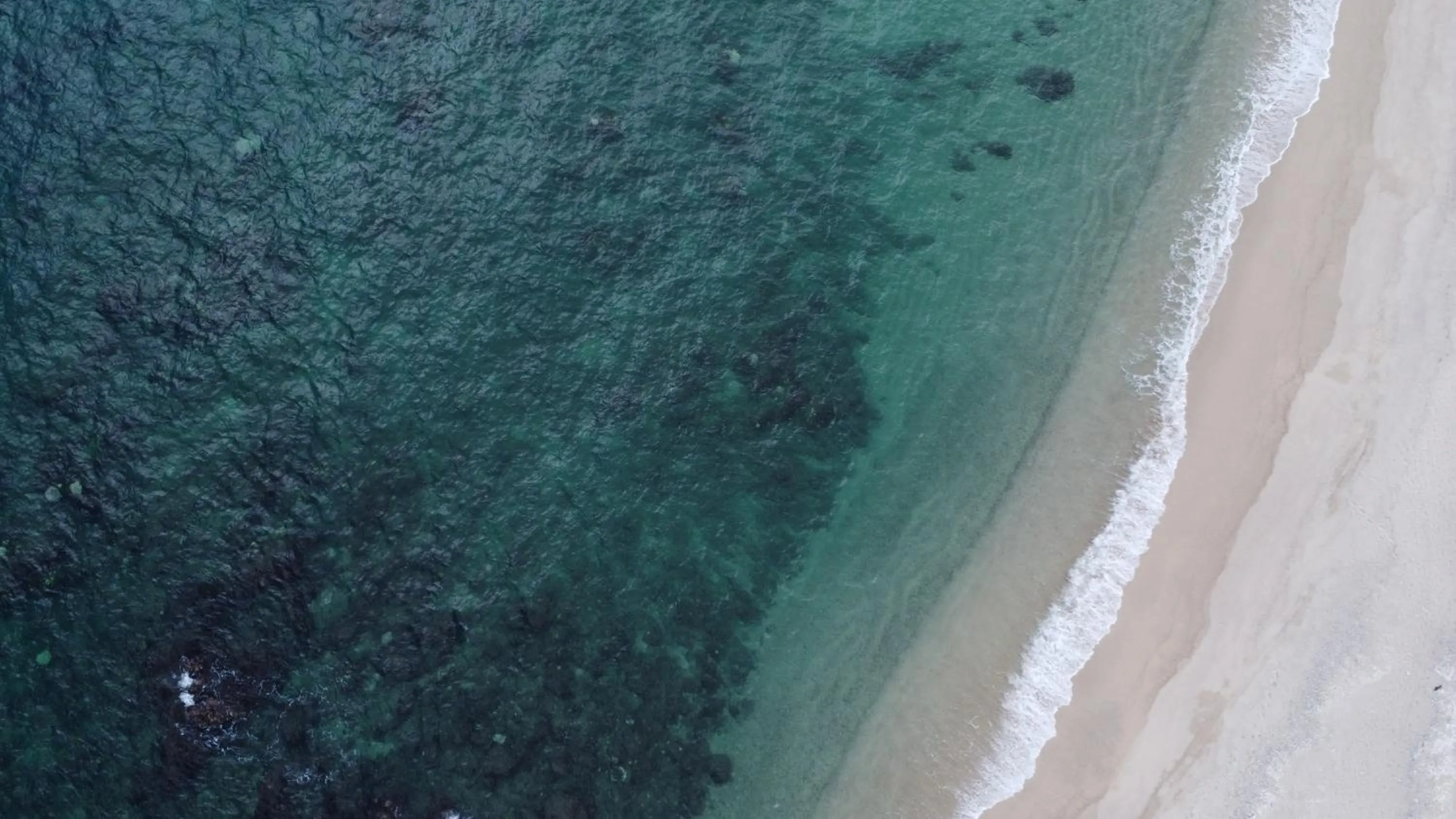 Beach in Punta Pescadero Paradise Hotel & Villas