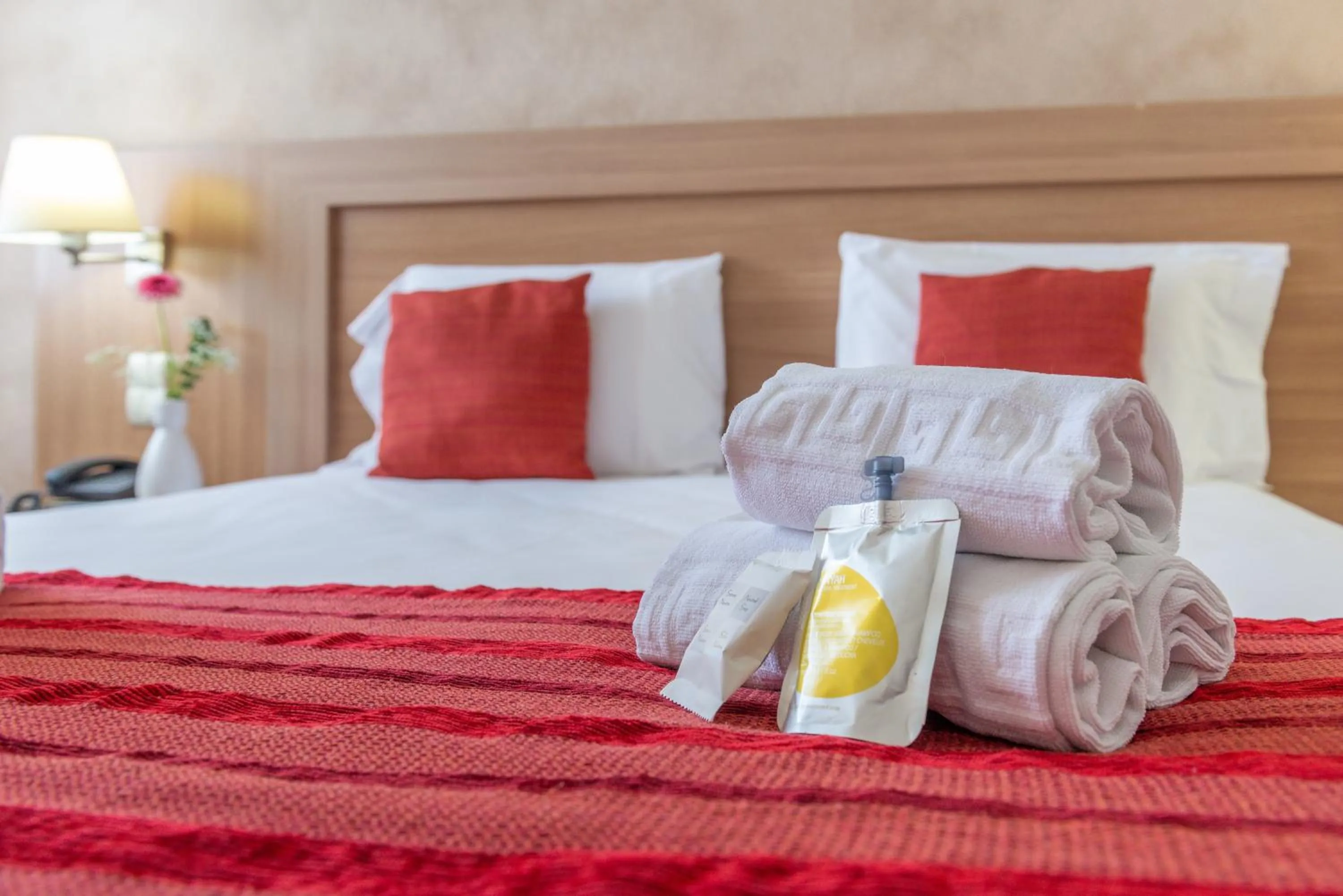 Shower, Bed in Brit Hotel Confort Castres