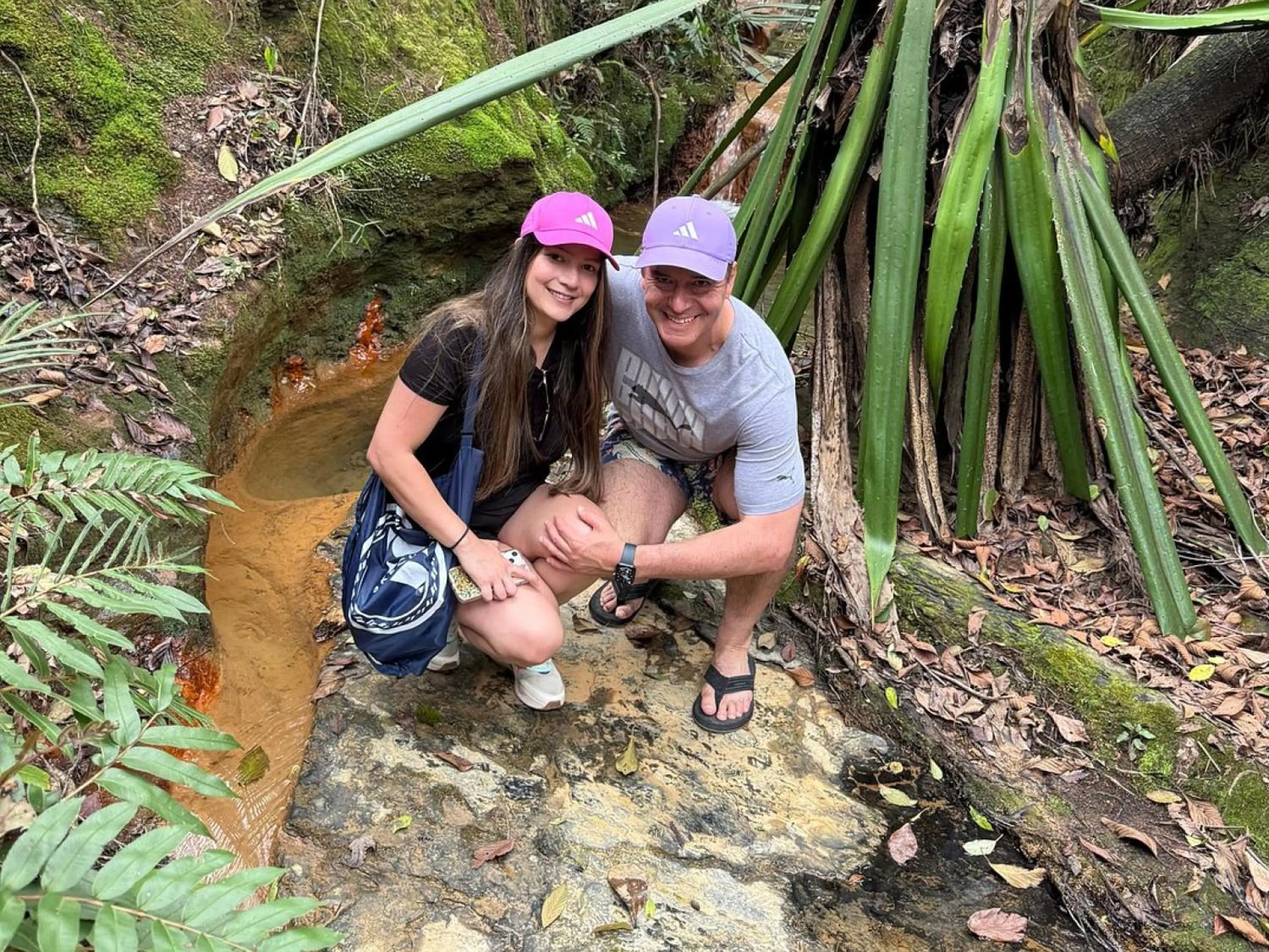 Natural landscape in Hotel Alma