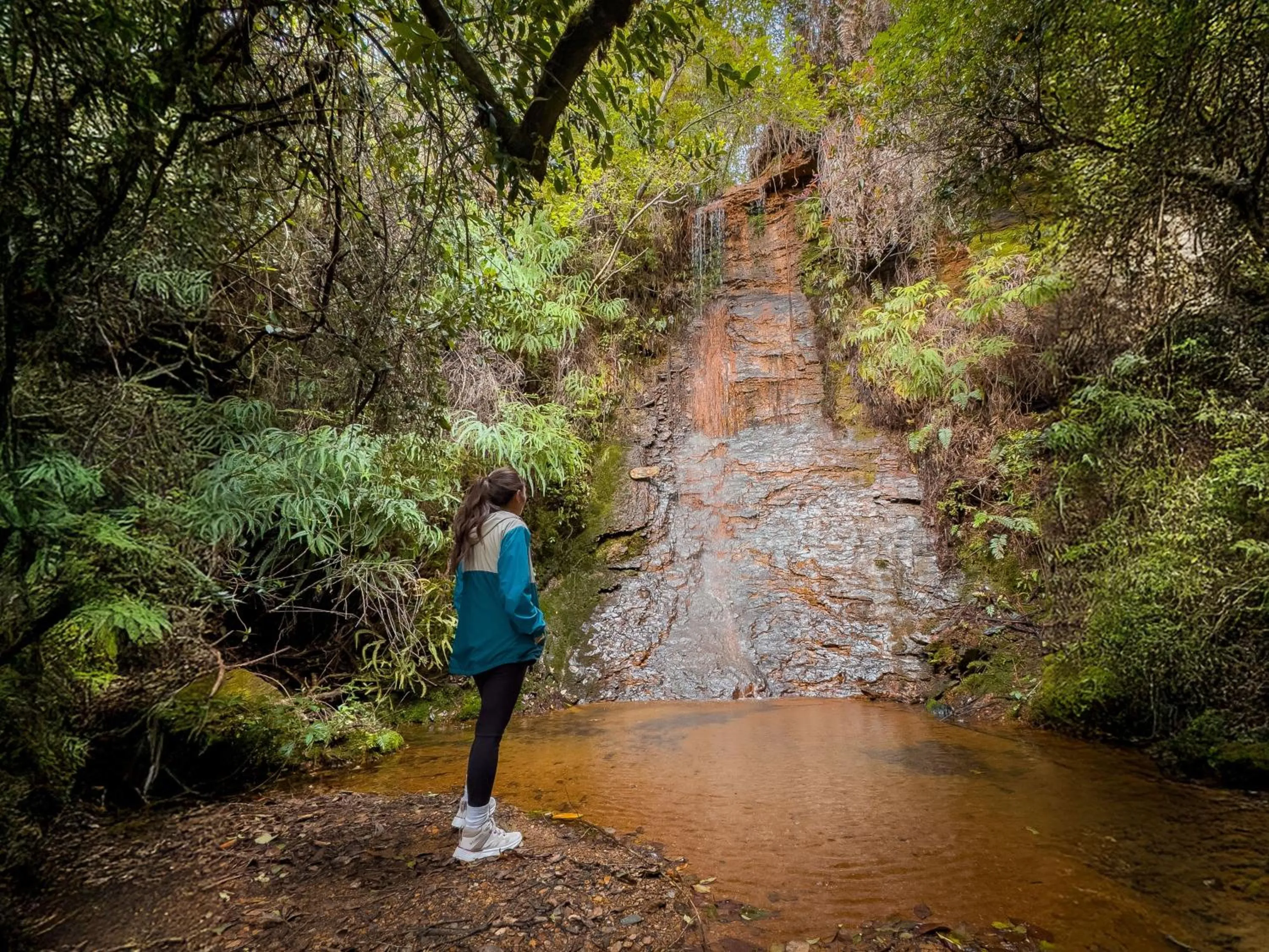 Natural landscape in Hotel Alma