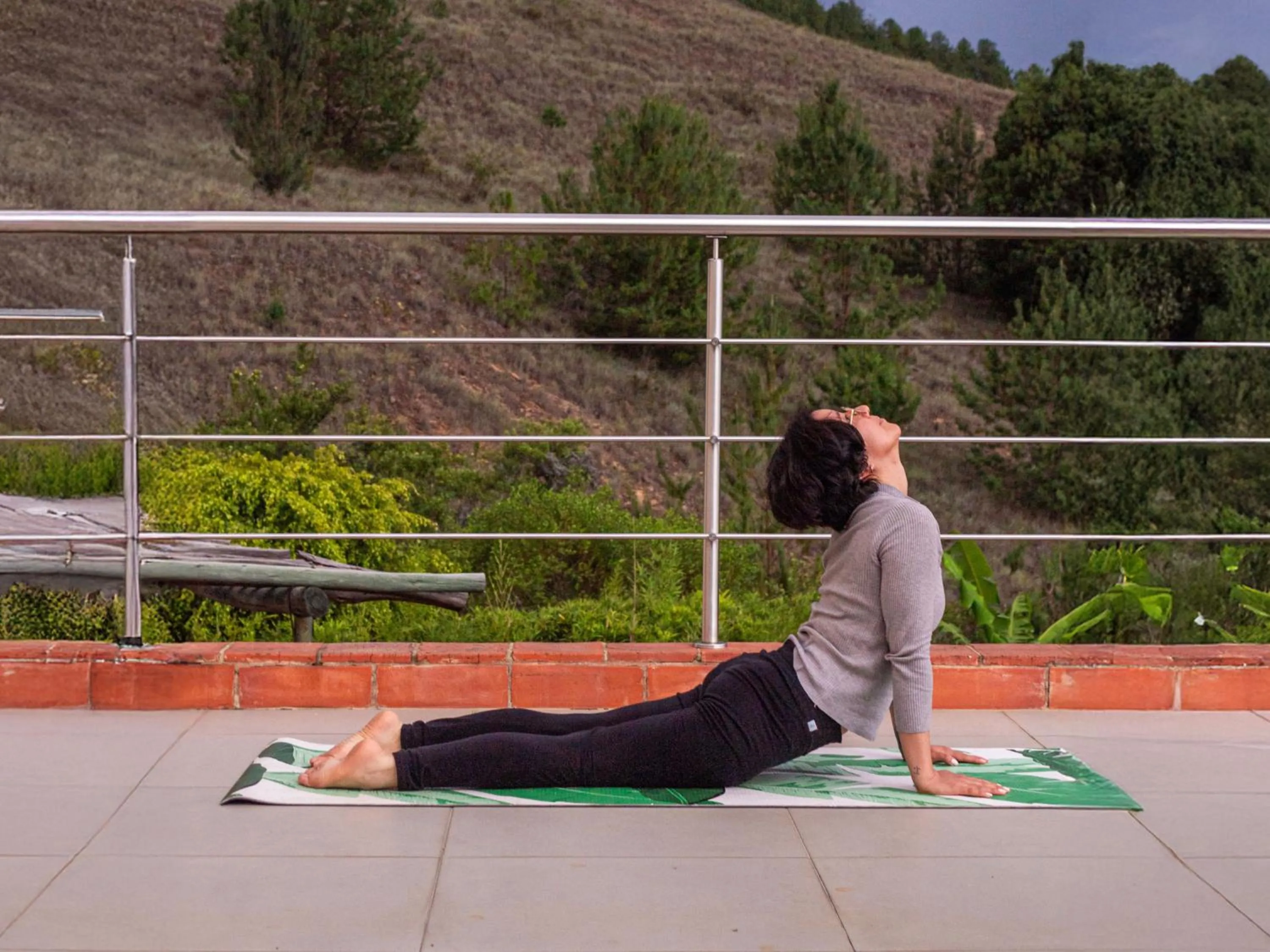 Natural landscape in Hotel Alma