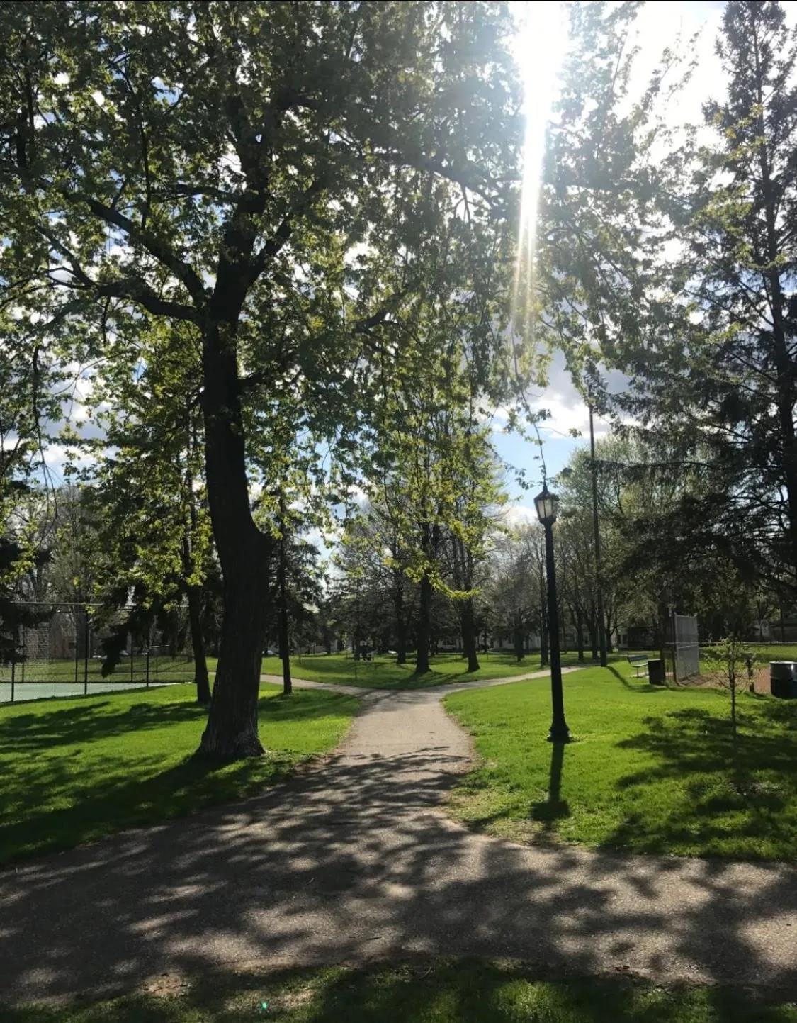 Day in The Madison House