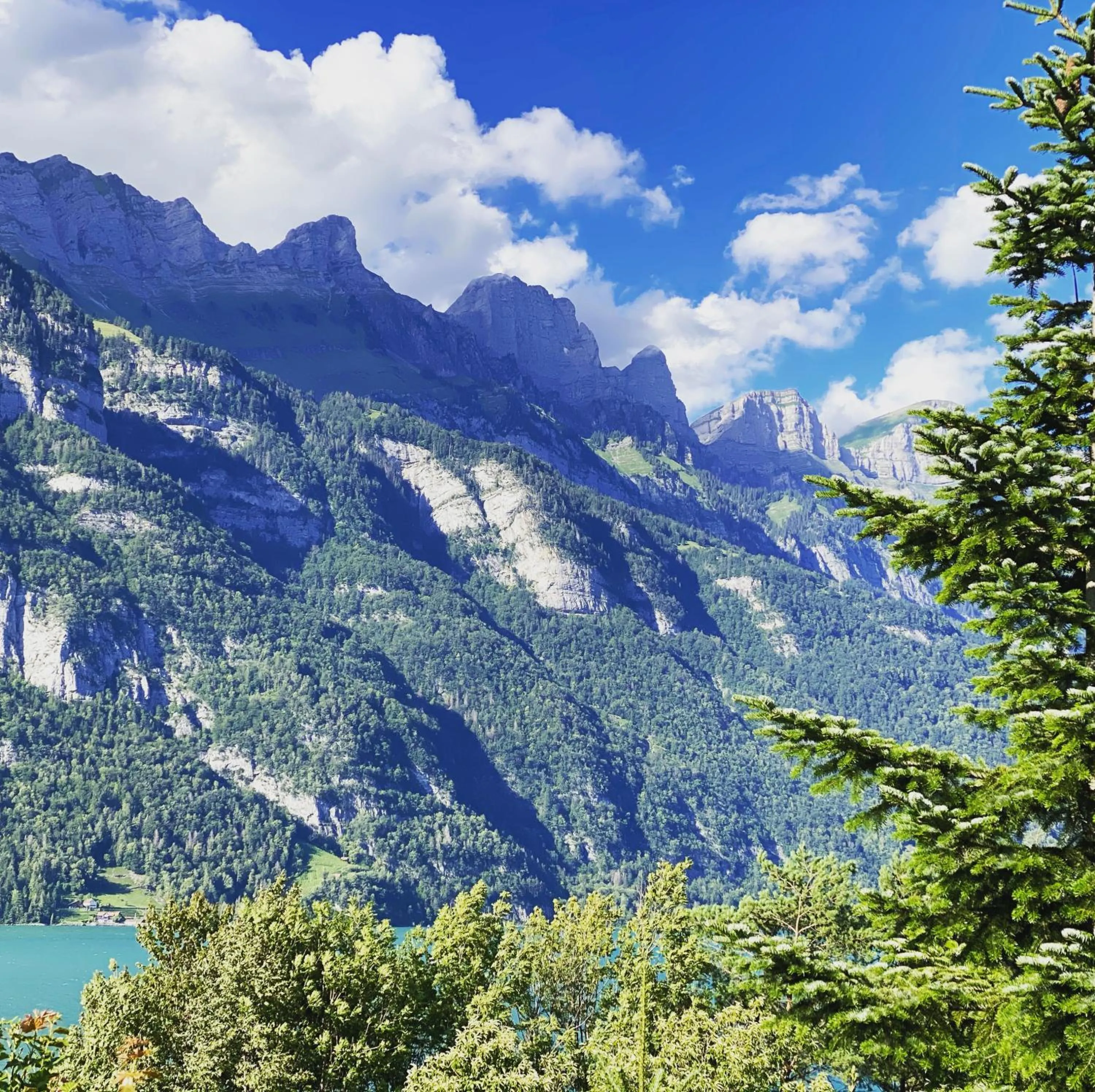 Natural landscape in Seeblick SMART Hotel Rössli