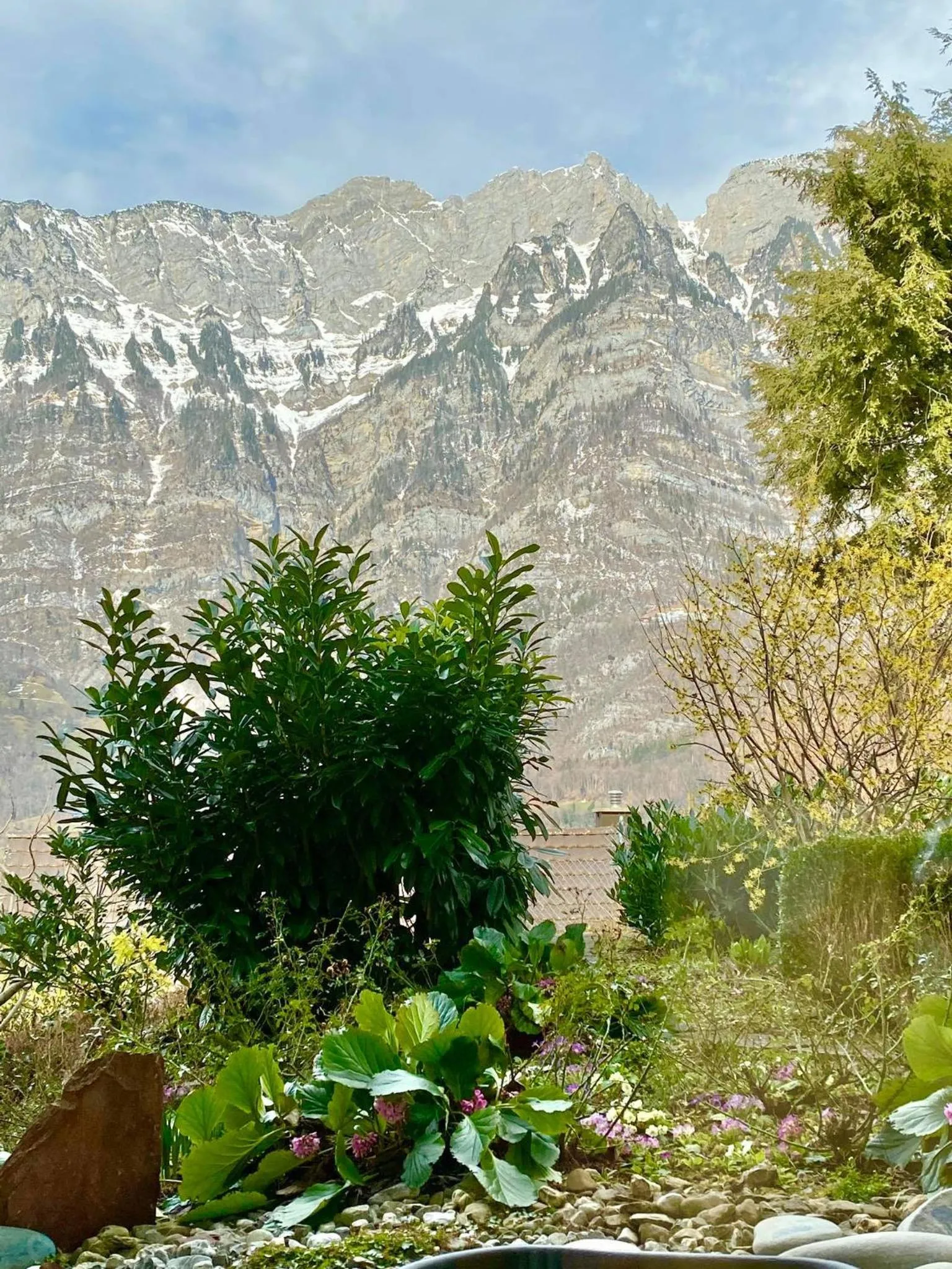 Garden view in Seeblick SMART Hotel Rössli