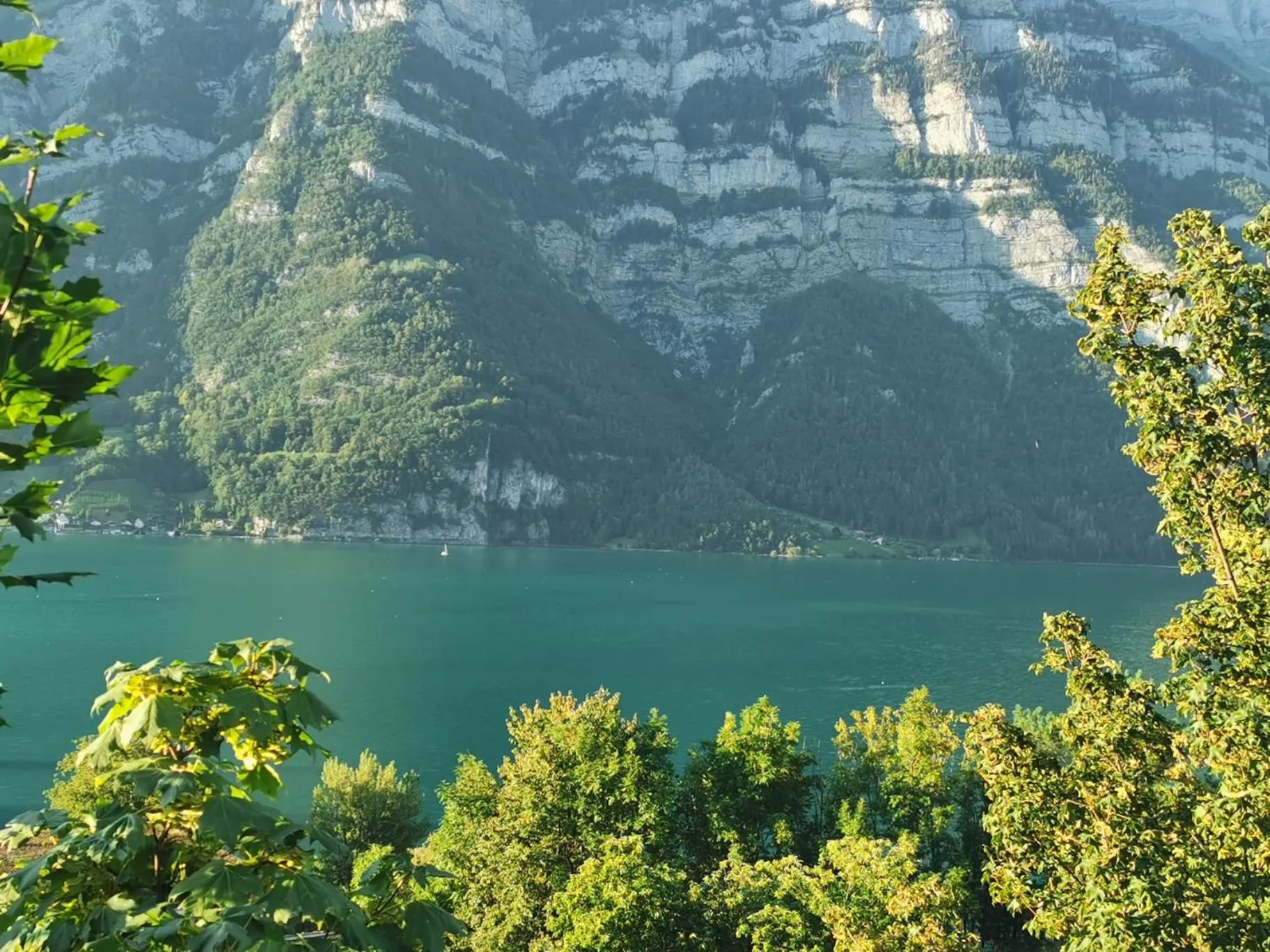 Lake view in Seeblick SMART Hotel Rössli