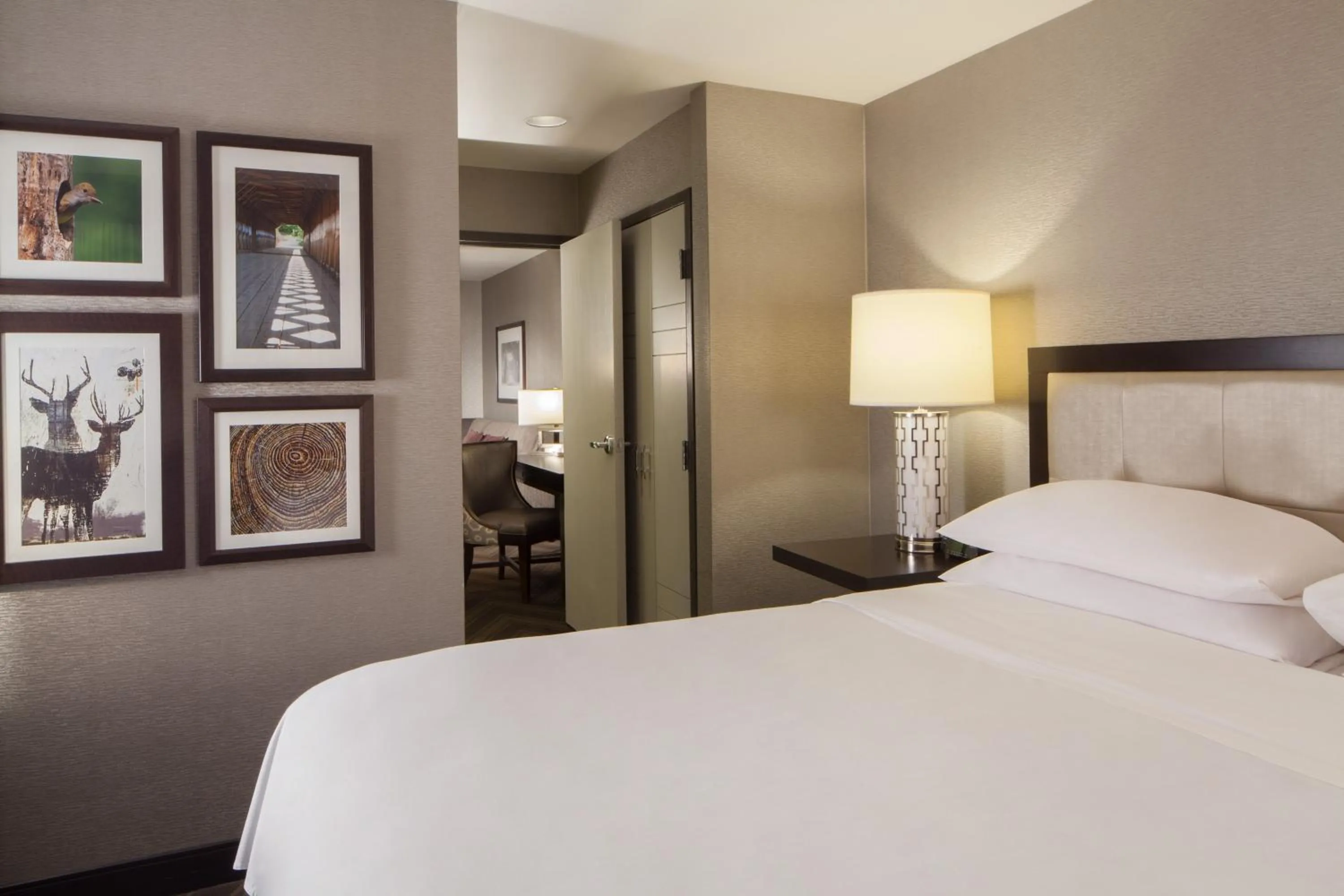 Bedroom, Bed in Sheraton Bucks County Langhorne