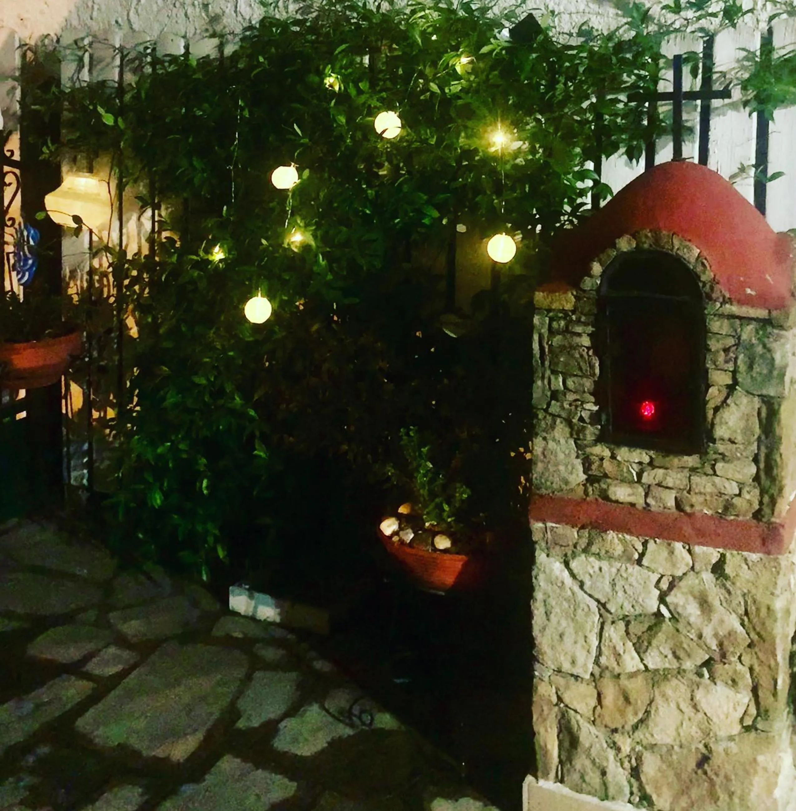 Garden in Hotel Exarhos