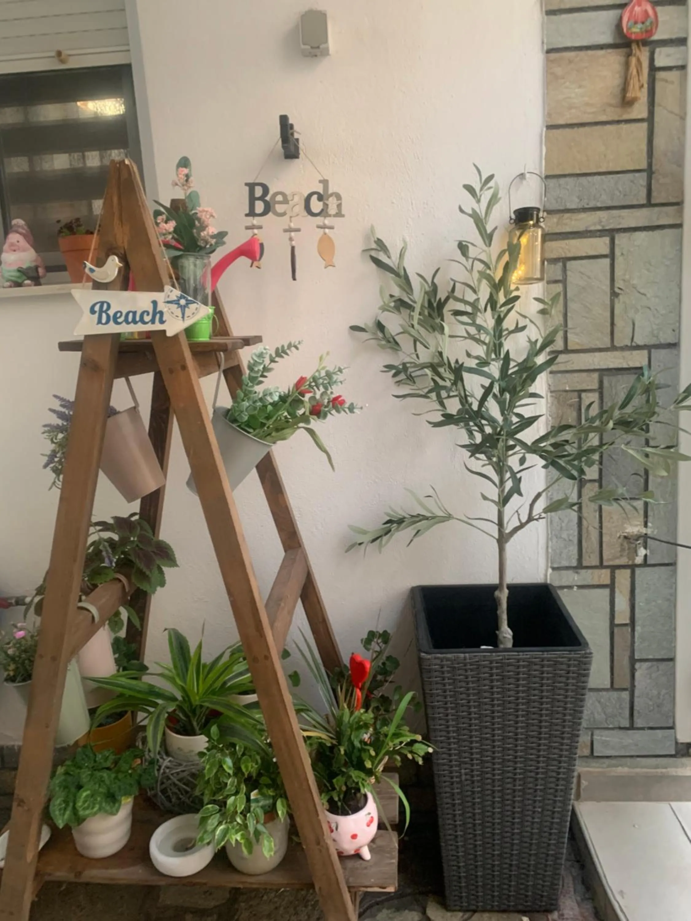 Garden in Hotel Exarhos