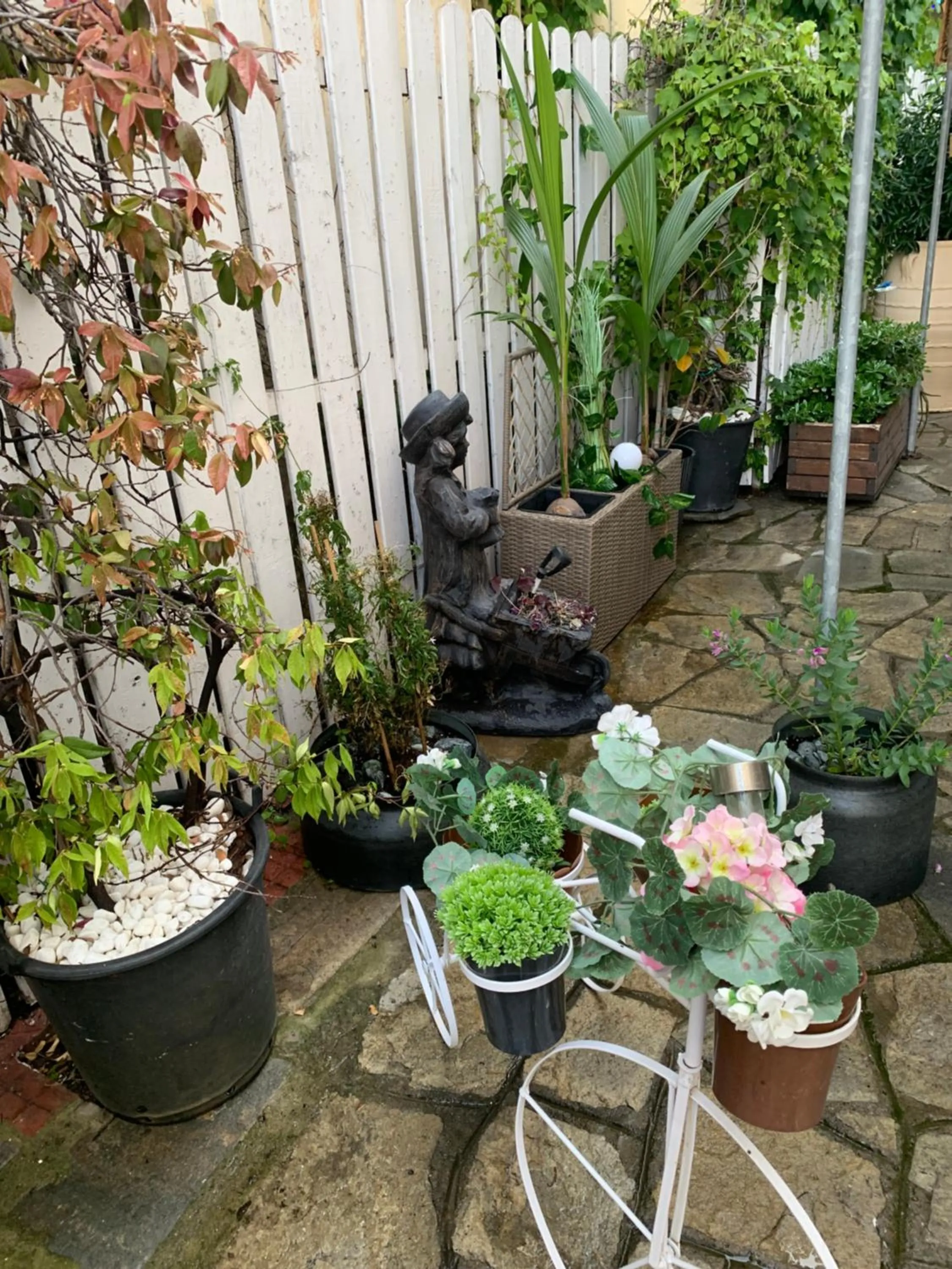 Spring in Hotel Exarhos