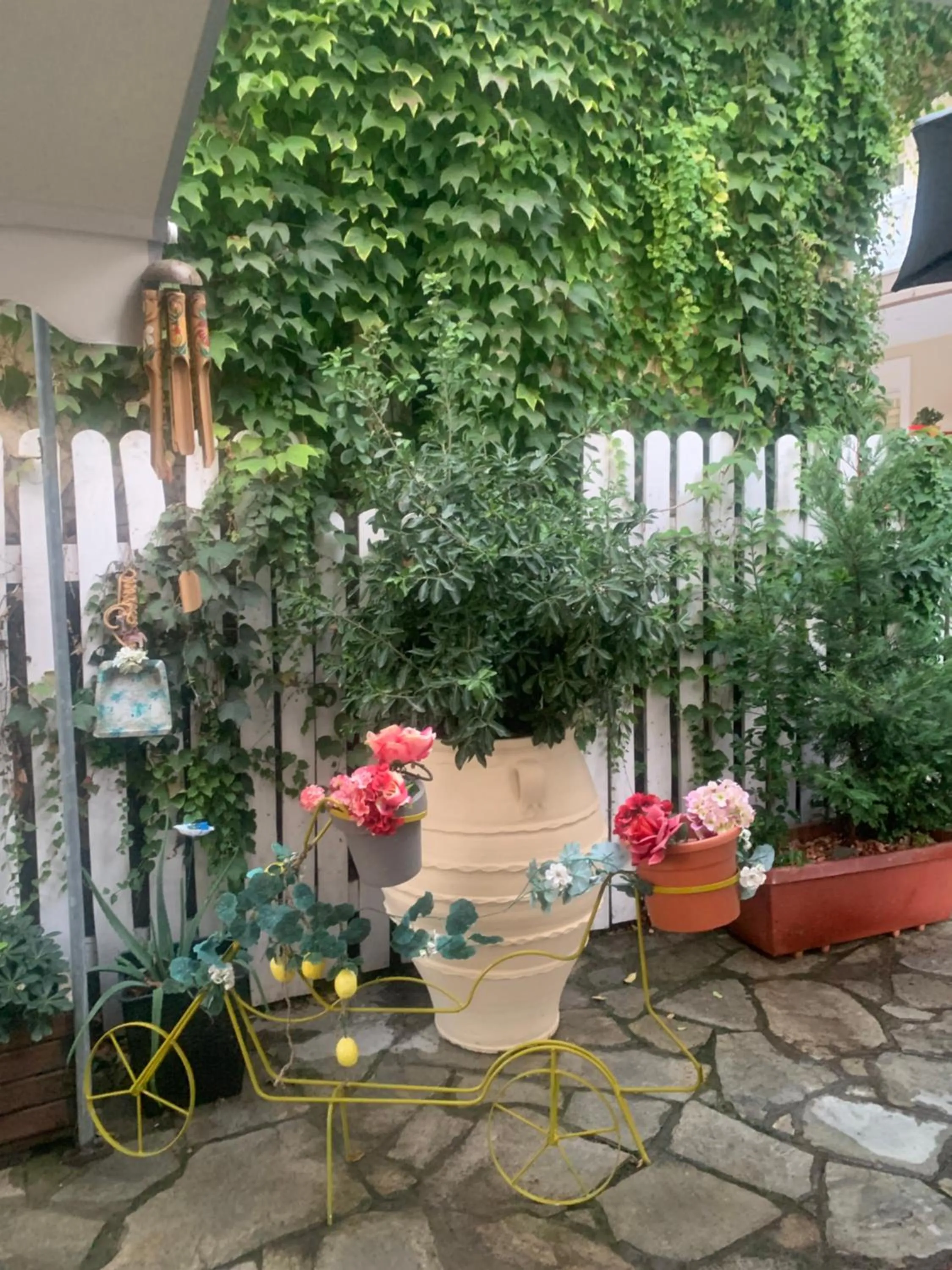 Garden view in Hotel Exarhos