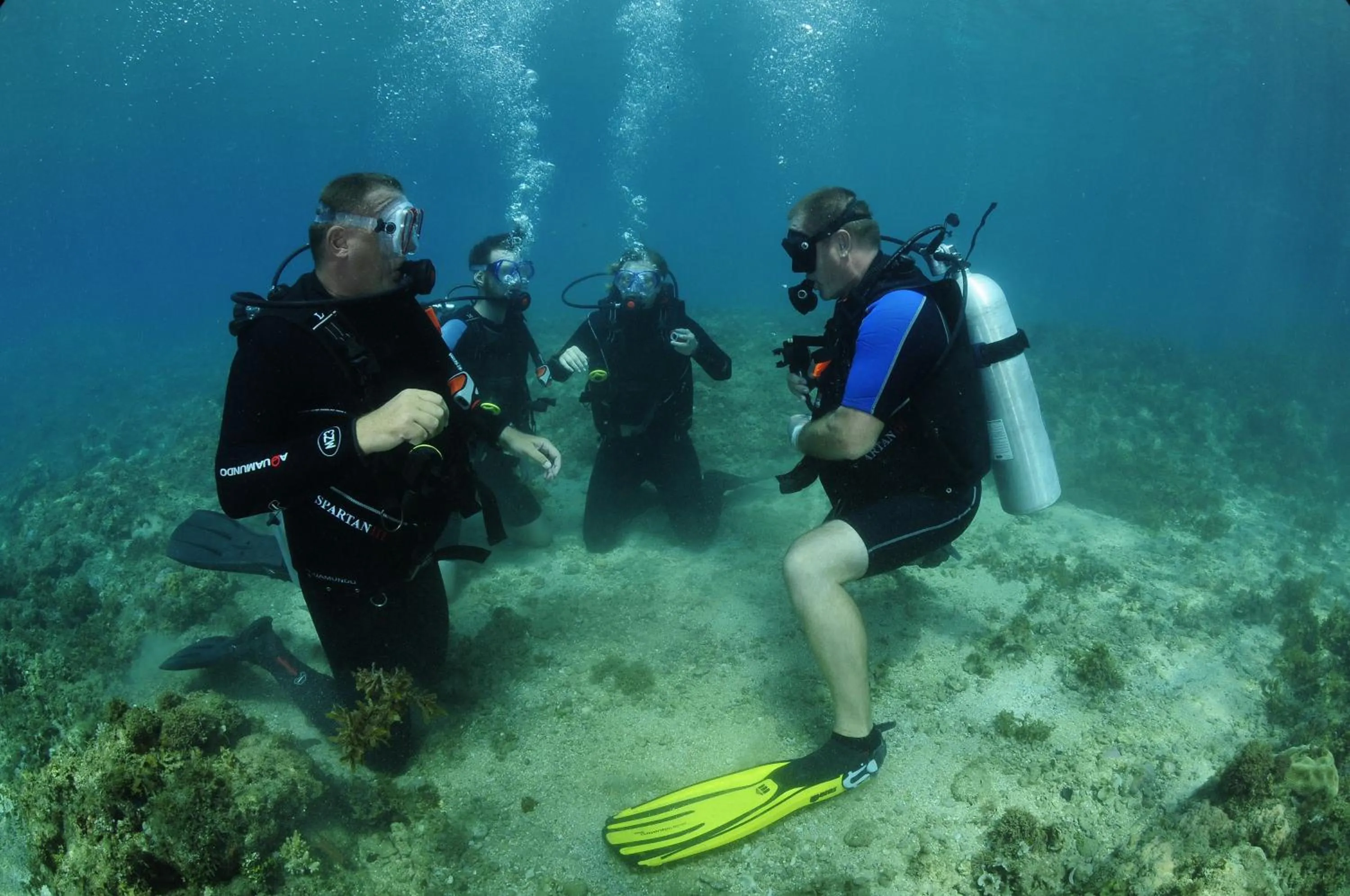 Diving in J&R Residence