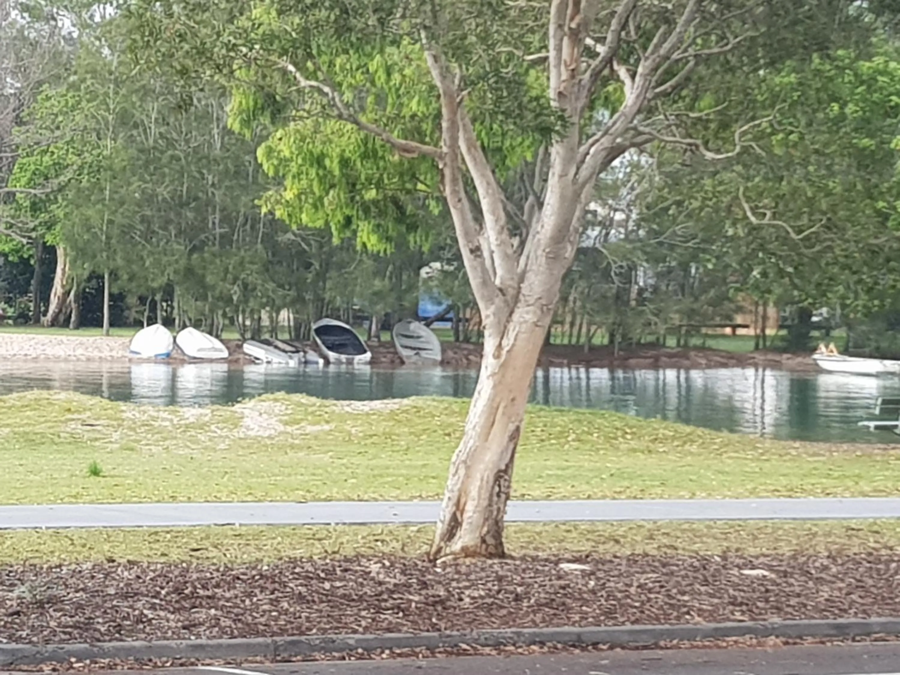 Natural landscape in Excellsior Apartments