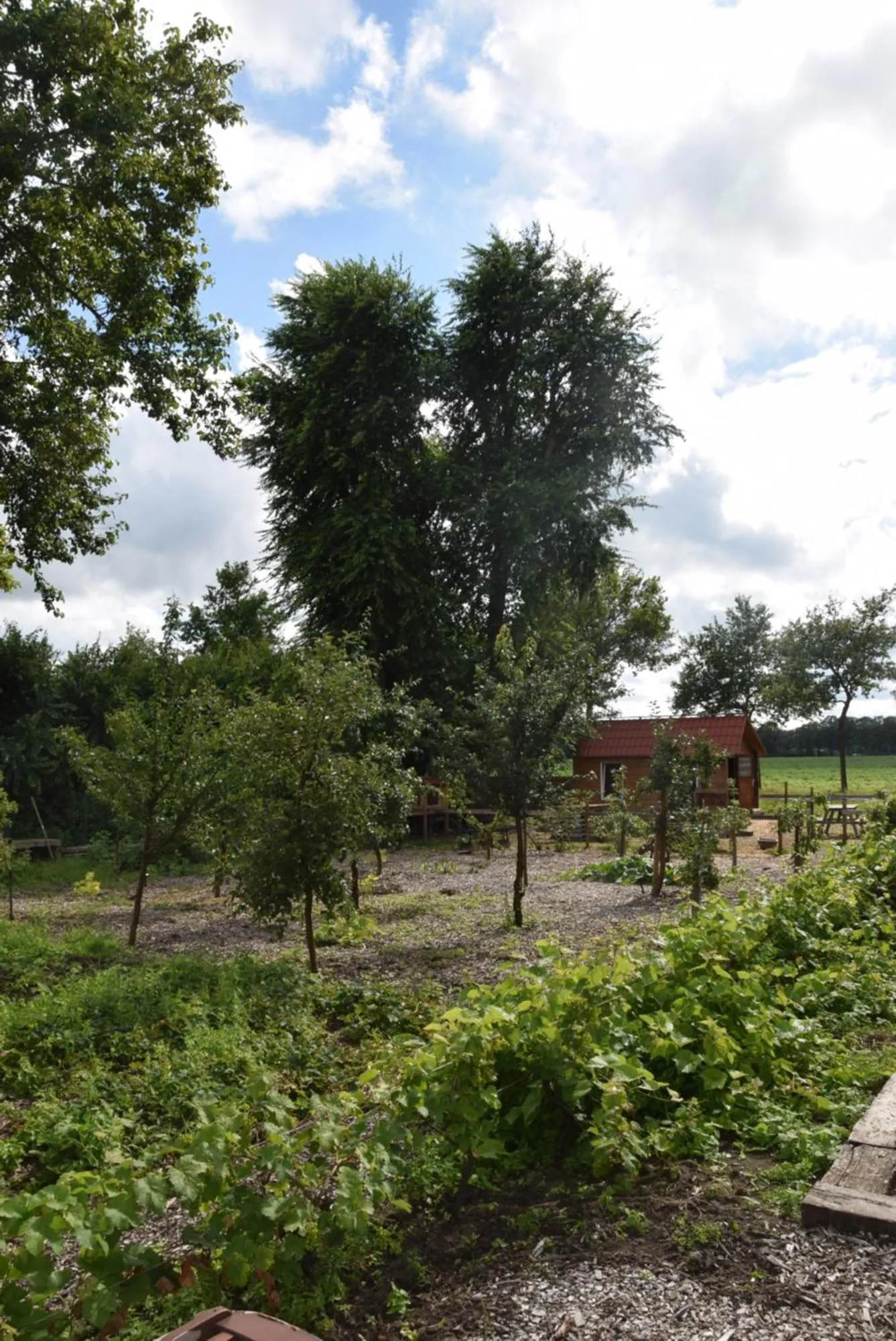 Garden in Hoeve Delshorst