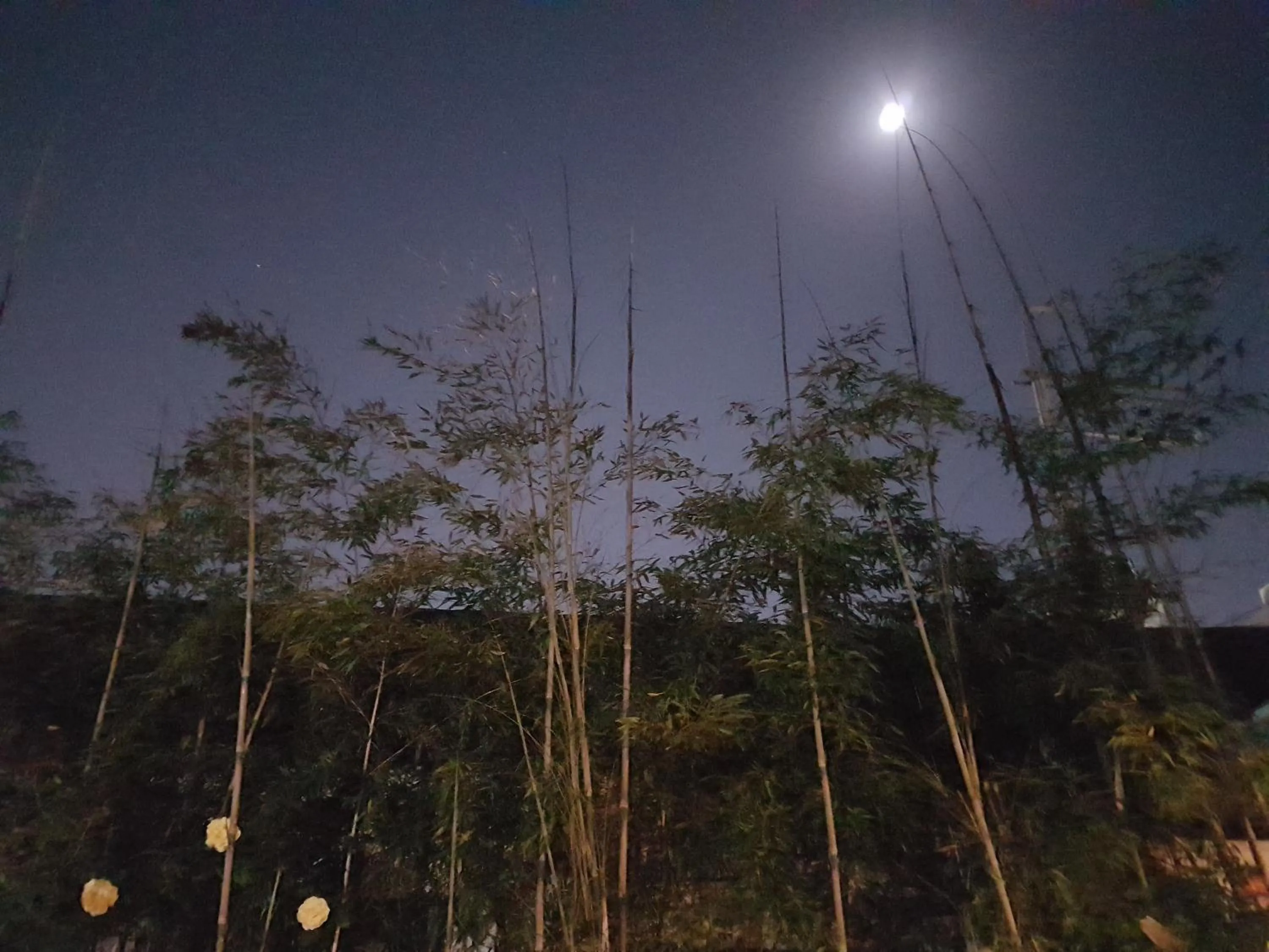 Gongsimga Hanok Guesthouse