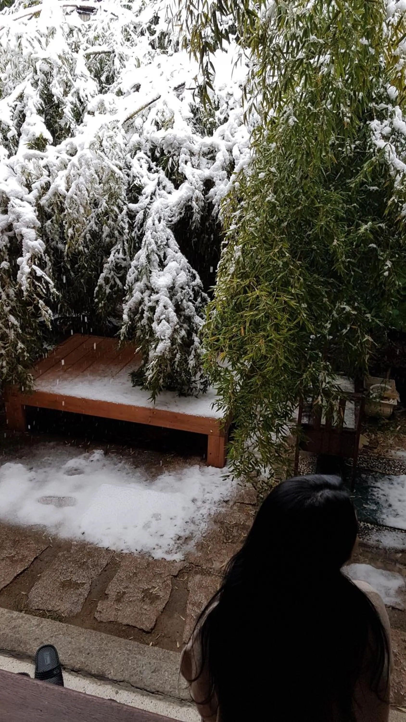 Garden view in Gongsimga Hanok Guesthouse