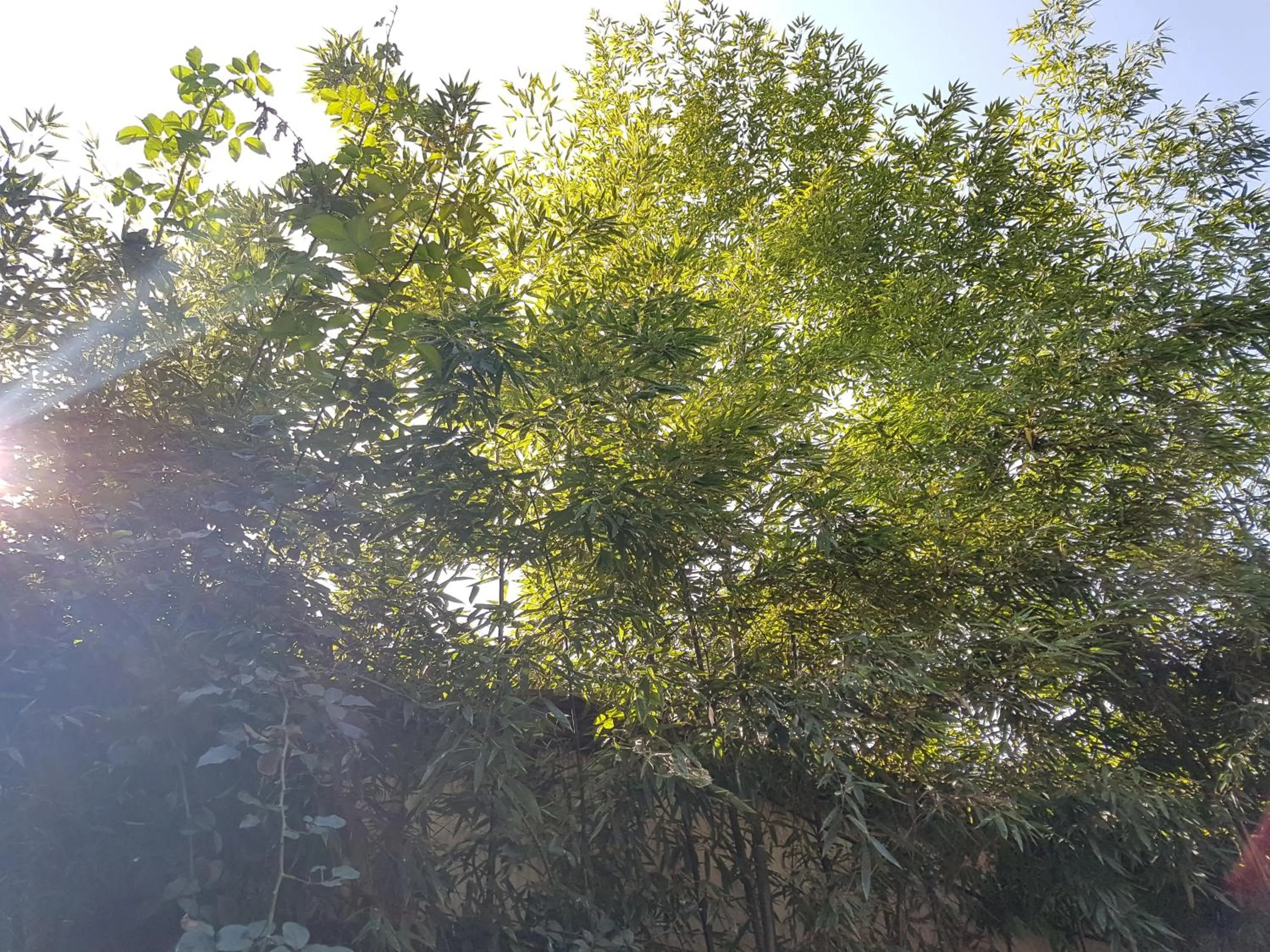 Gongsimga Hanok Guesthouse