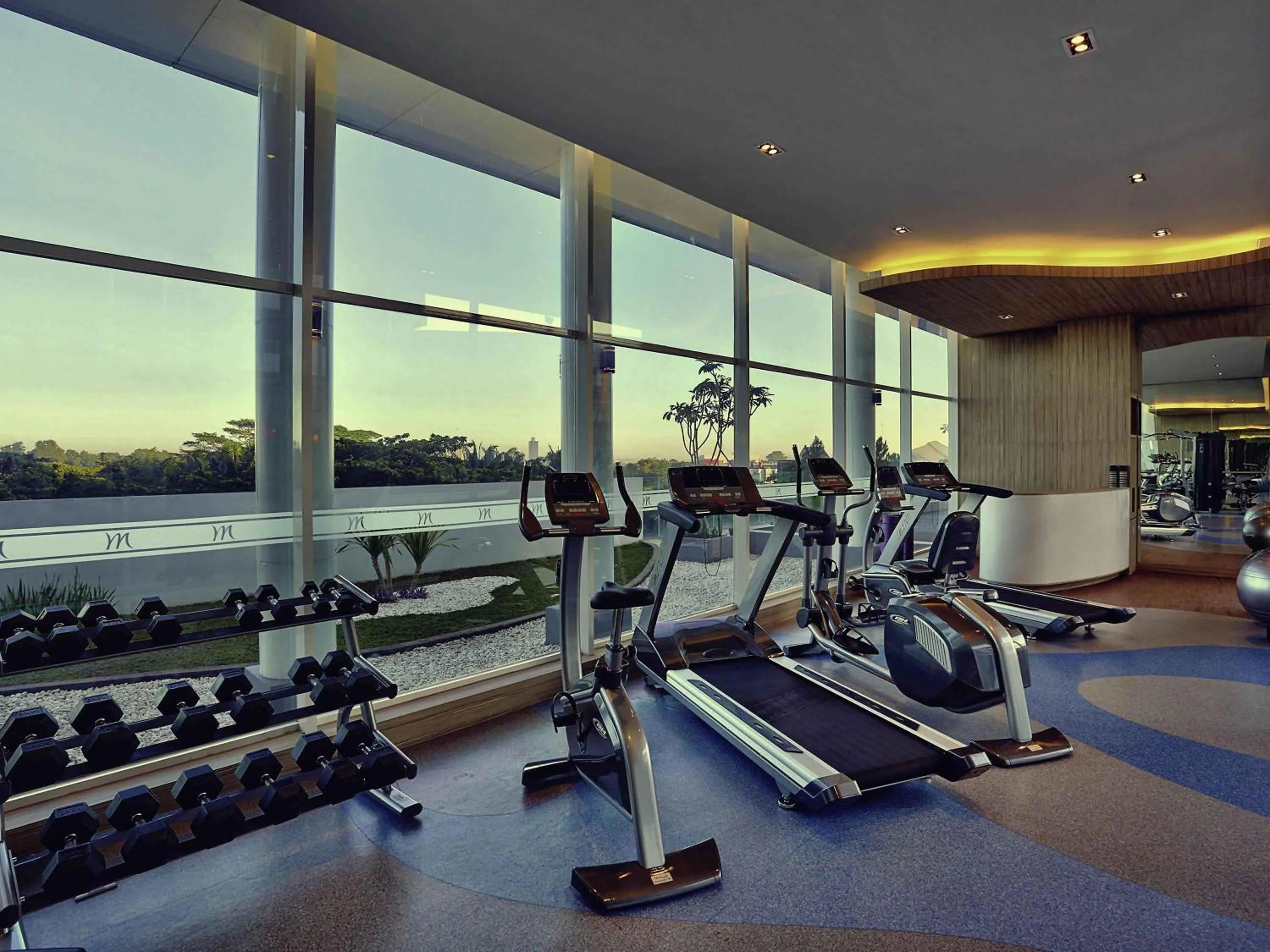 Fitness centre/facilities in Mercure Serpong Alam Sutera