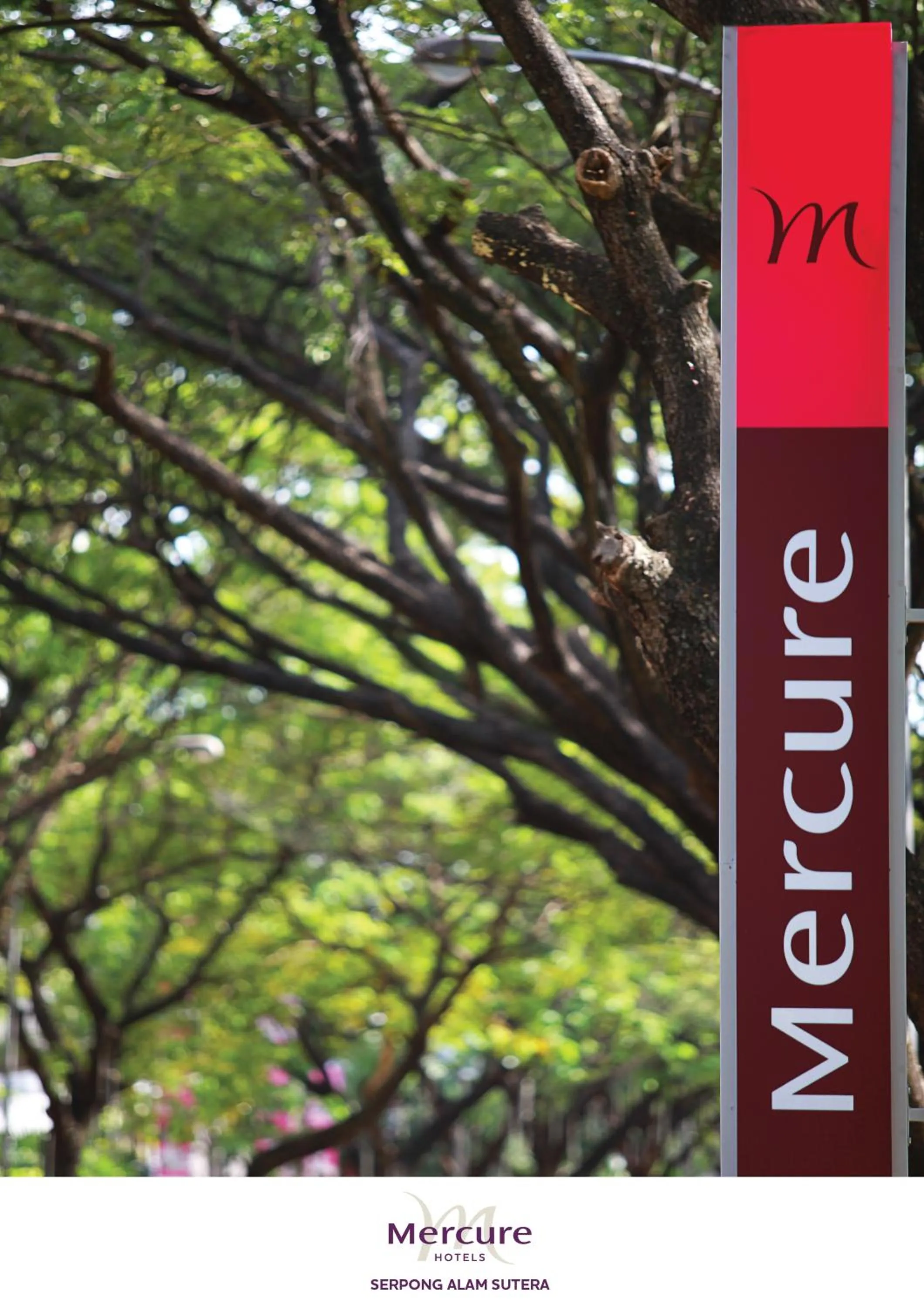 Day in Mercure Serpong Alam Sutera