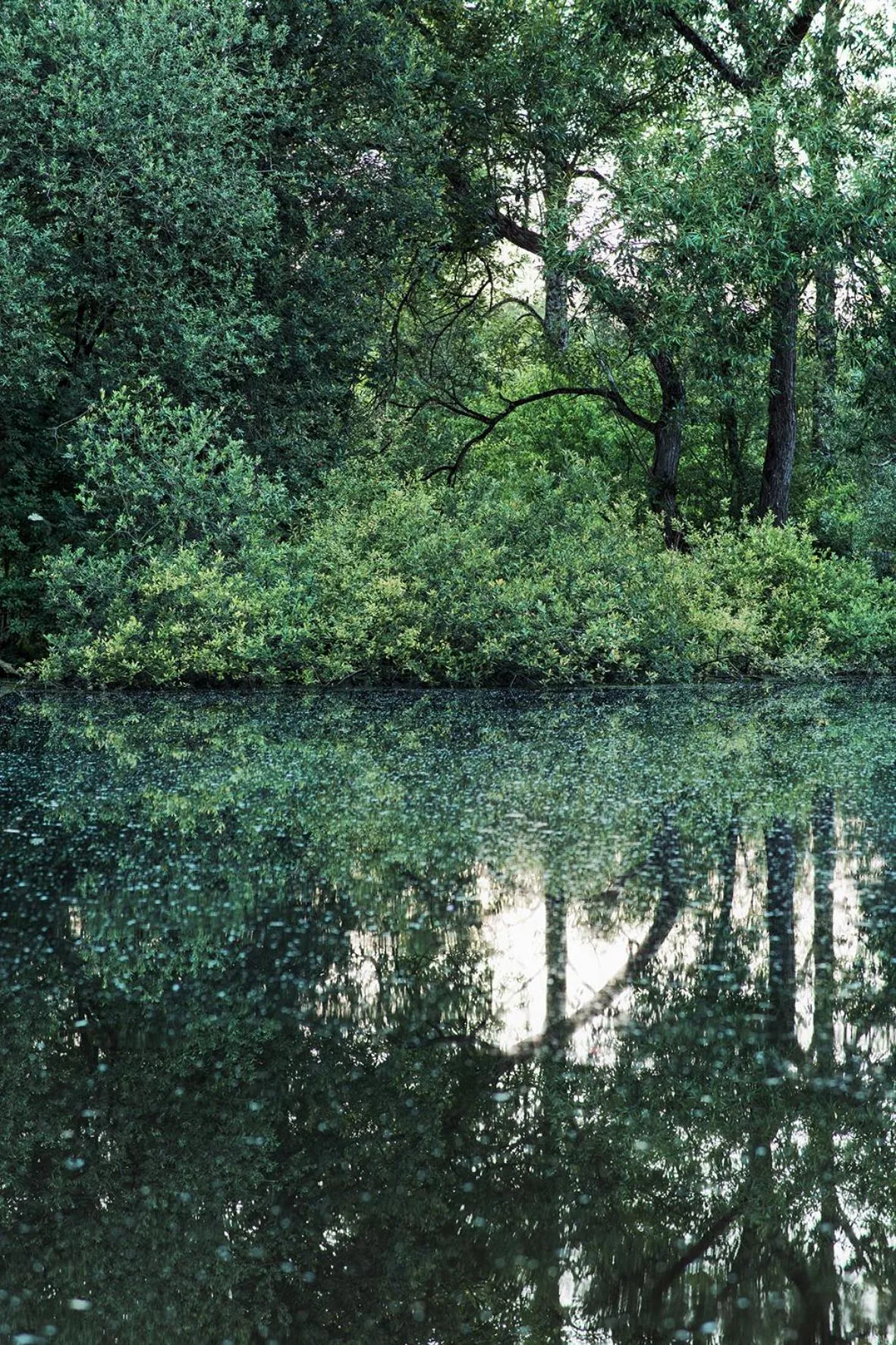 Les Cabanes Des Marais