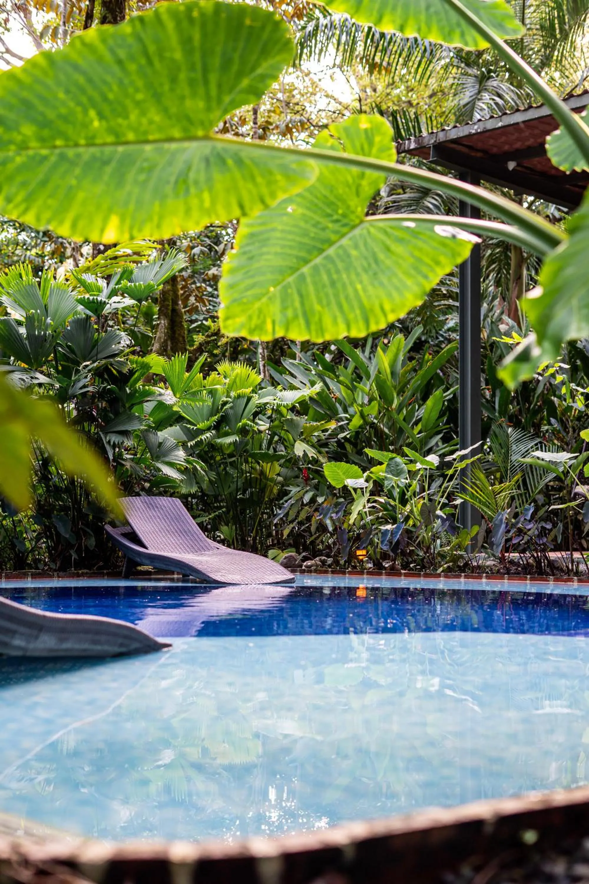 Swimming pool in Nowhere