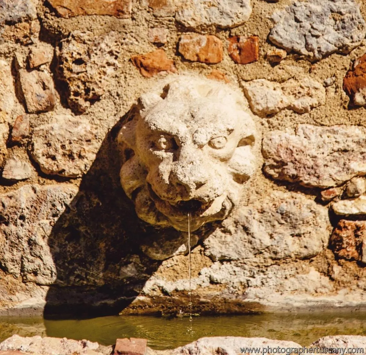 Decorative detail in Villa Montecastello