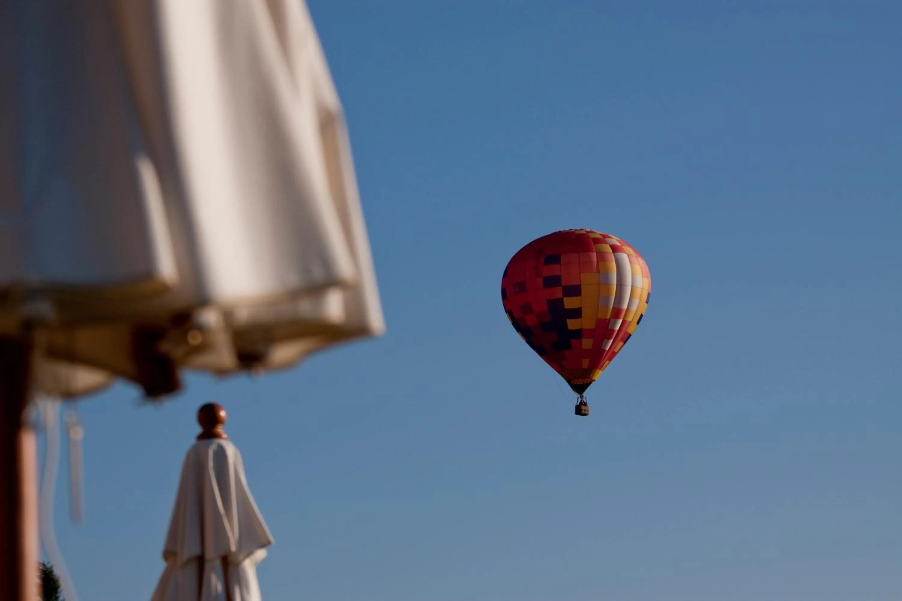 Activities in Villa Montecastello