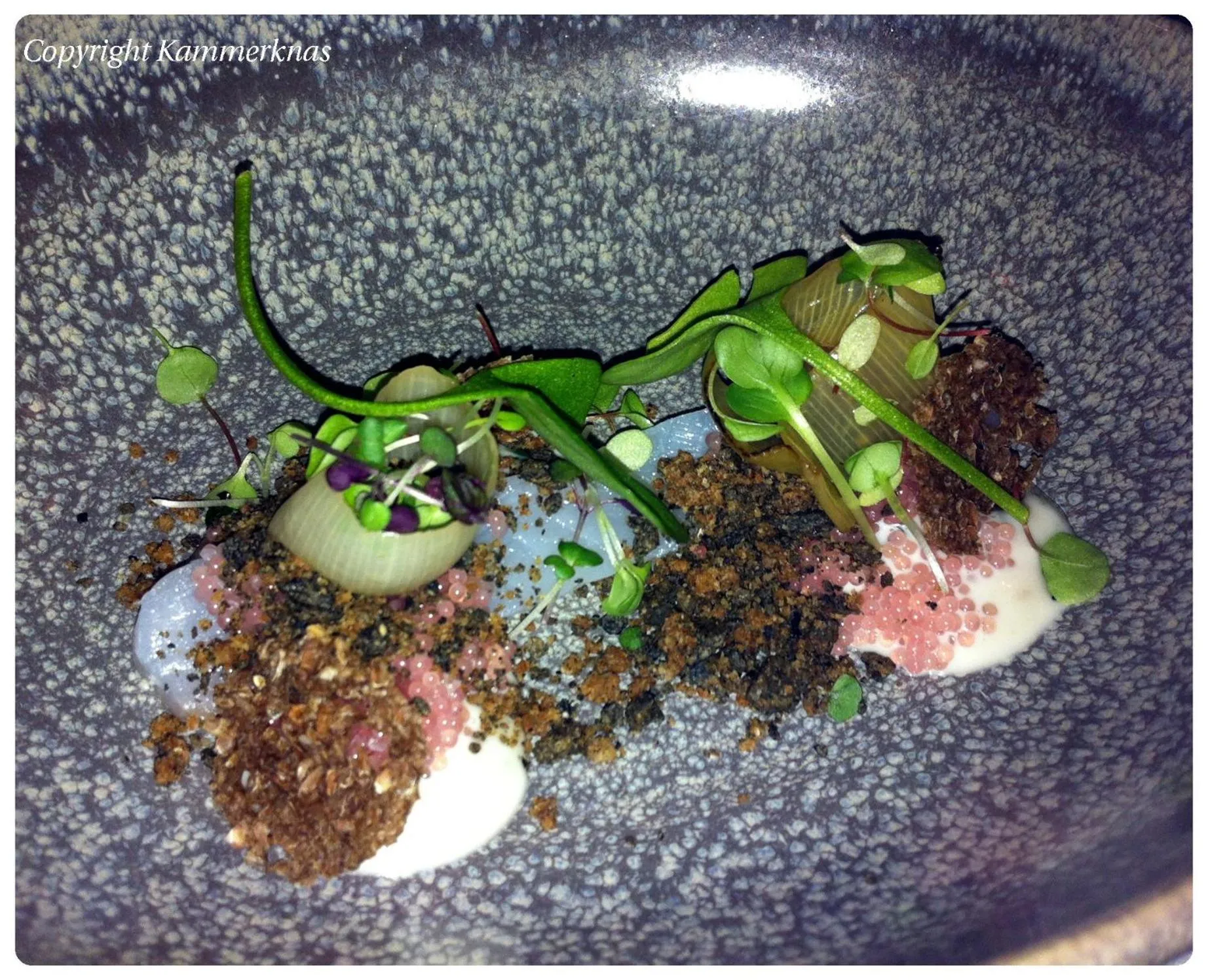 Restaurant/places to eat in Aars Hotel