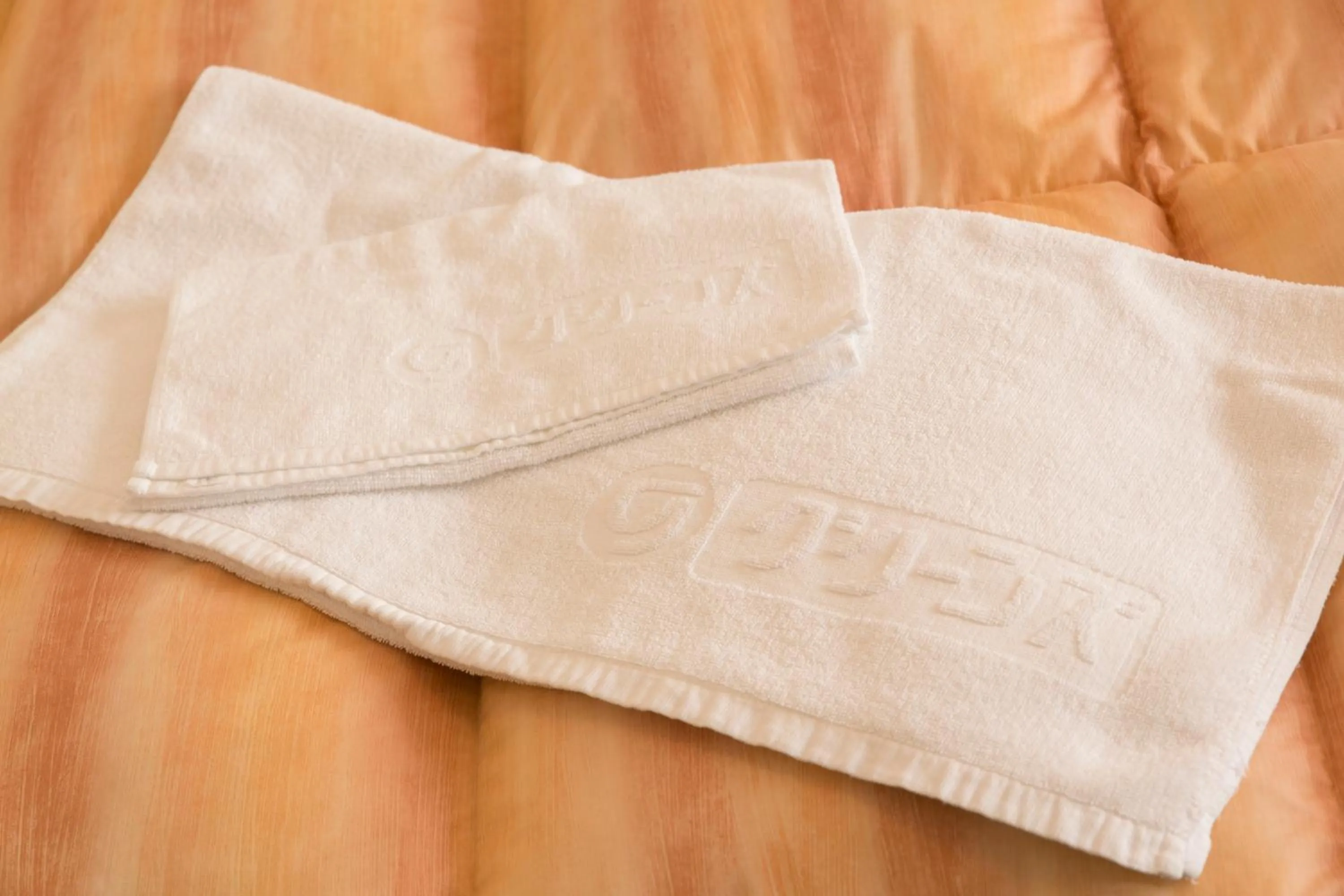 Other in Best Inn Uozu