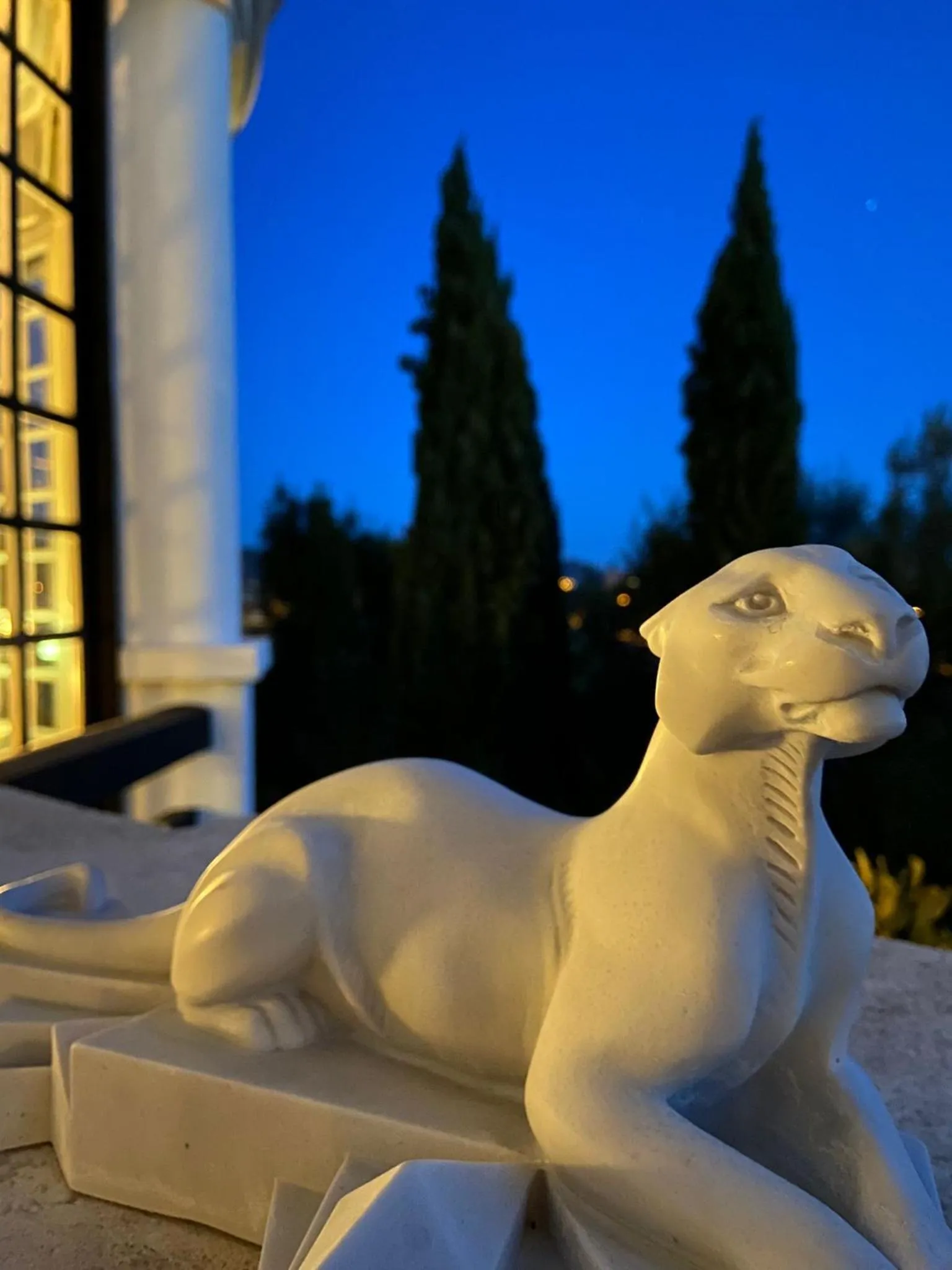 Patio in Quand la ville dort