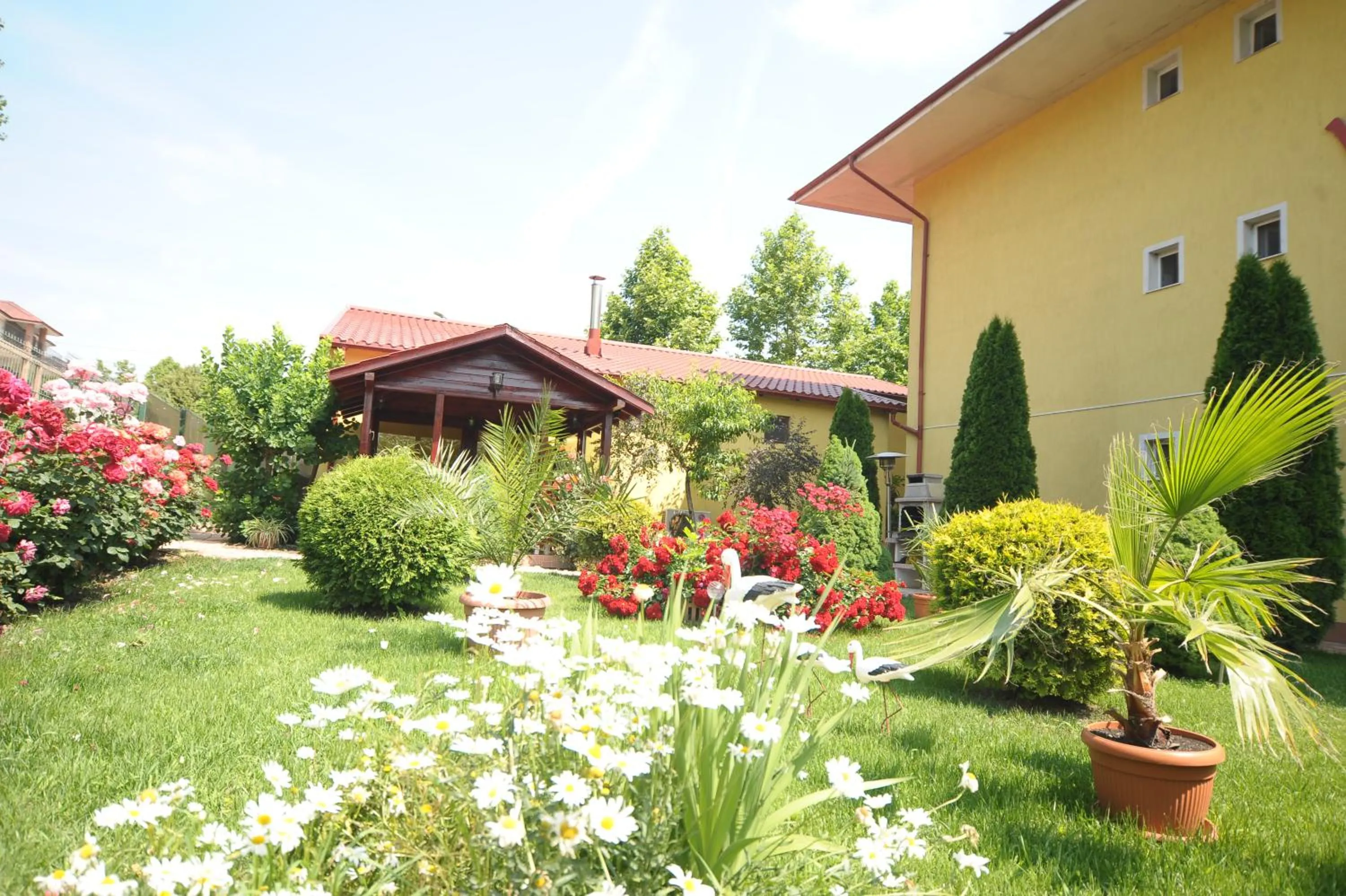 Garden in Hotel Valul Magic