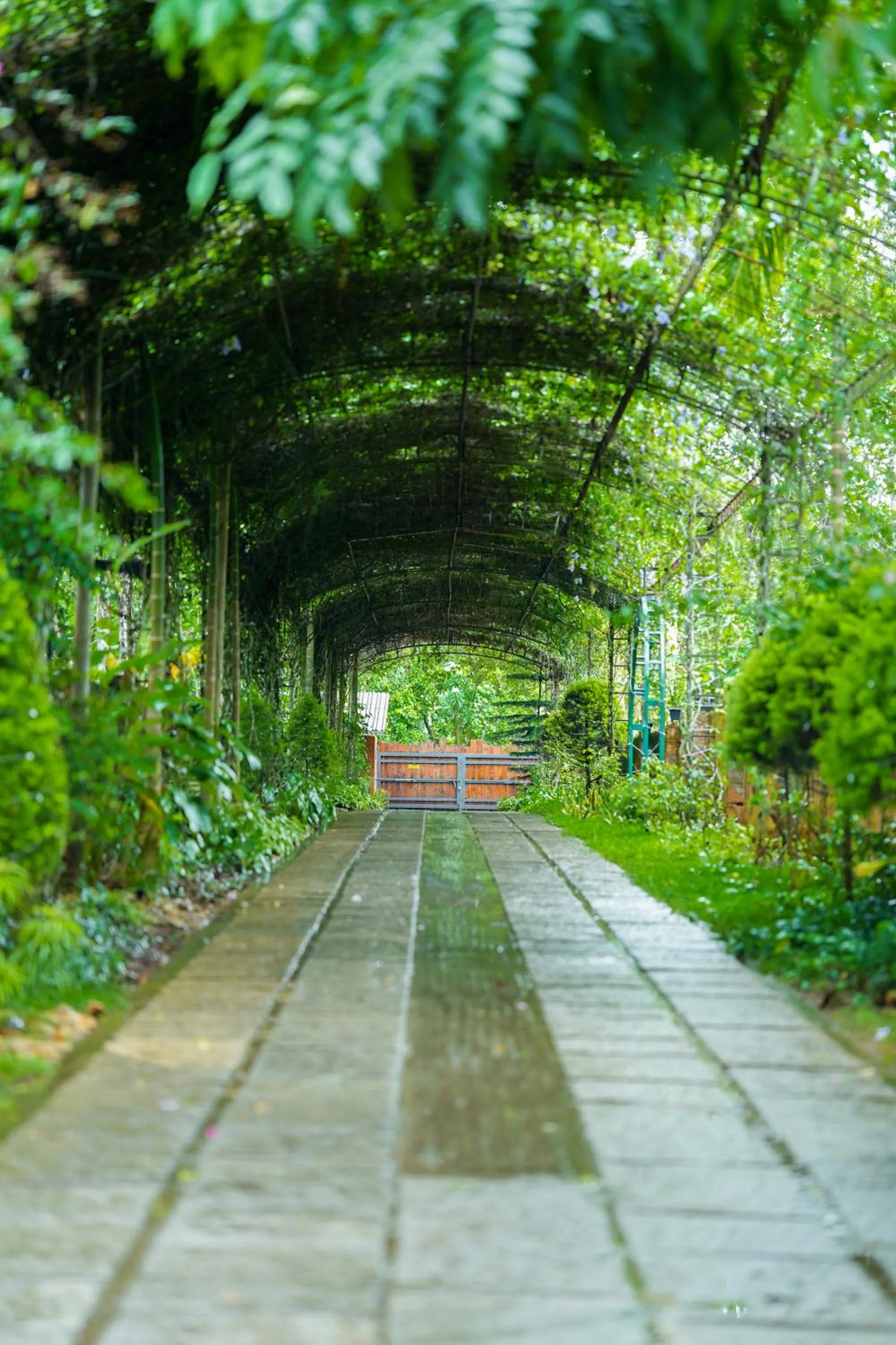 Facade/entrance in Kuruva Island Resort And Spa - By KABINI BREEZE