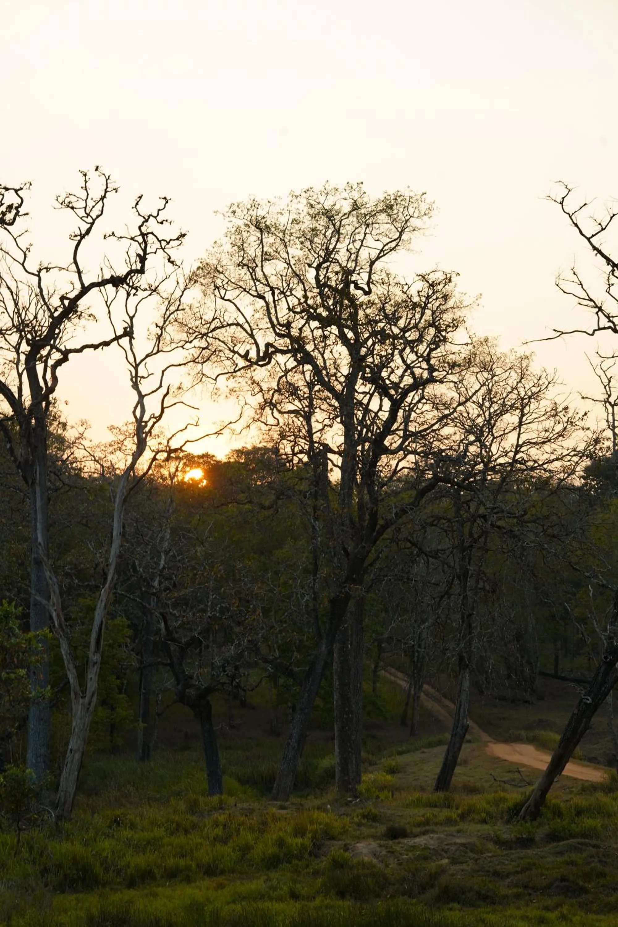 Activities in Kuruva Island Resort And Spa - By KABINI BREEZE