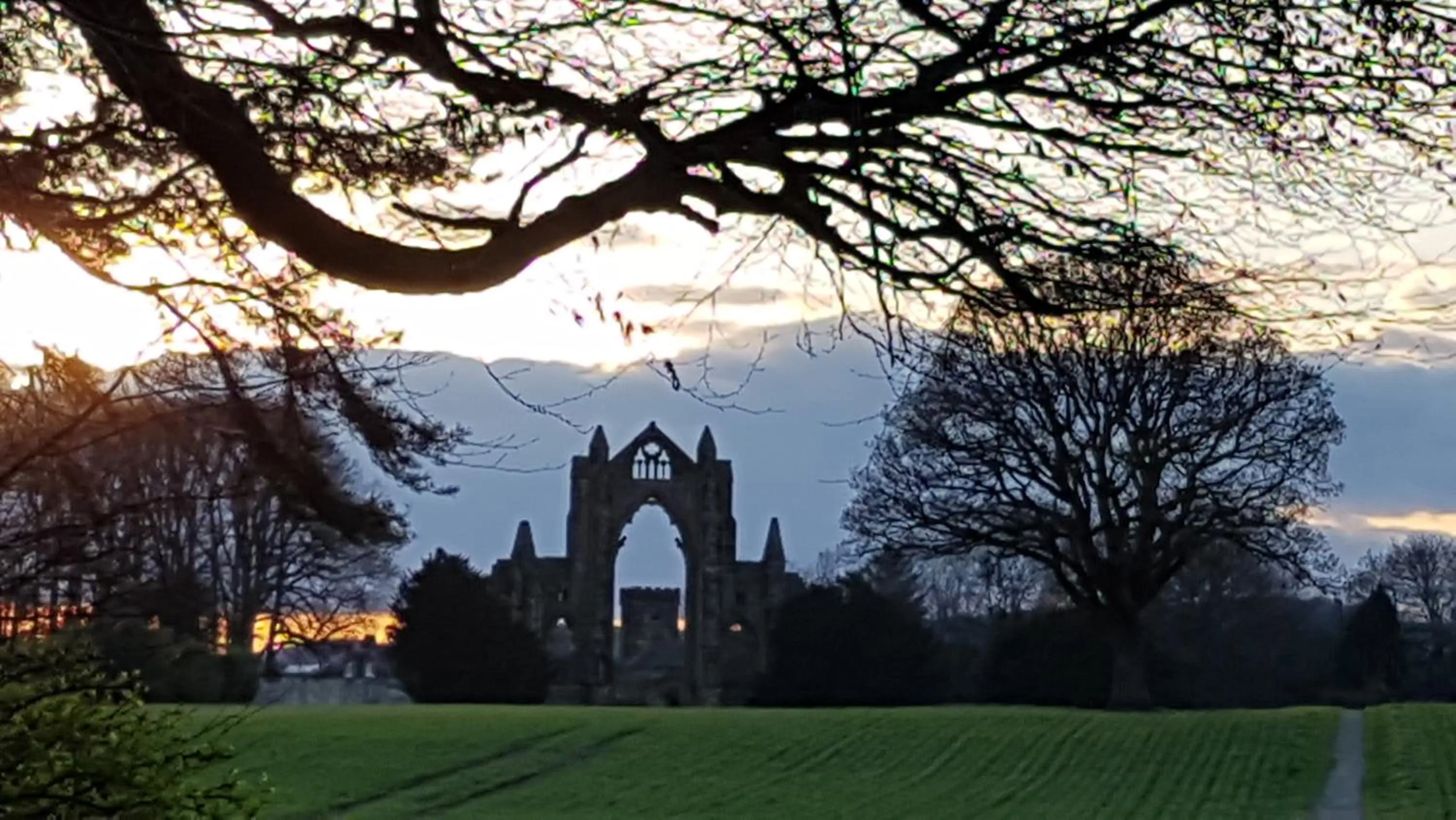 View (from property/room) in Saltburn Holidays Bluebell Cottage