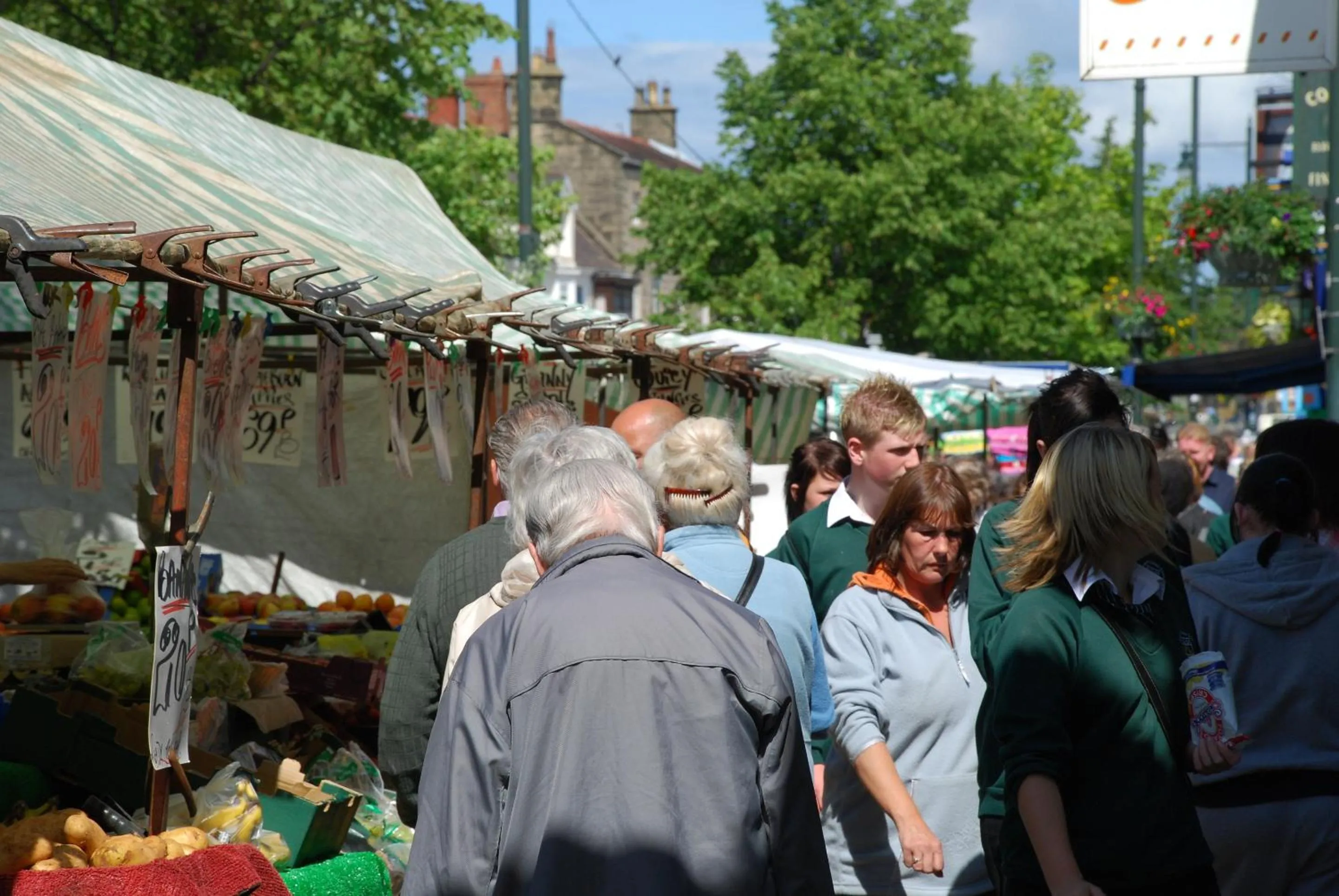 View (from property/room) in Saltburn Holidays Bluebell Cottage