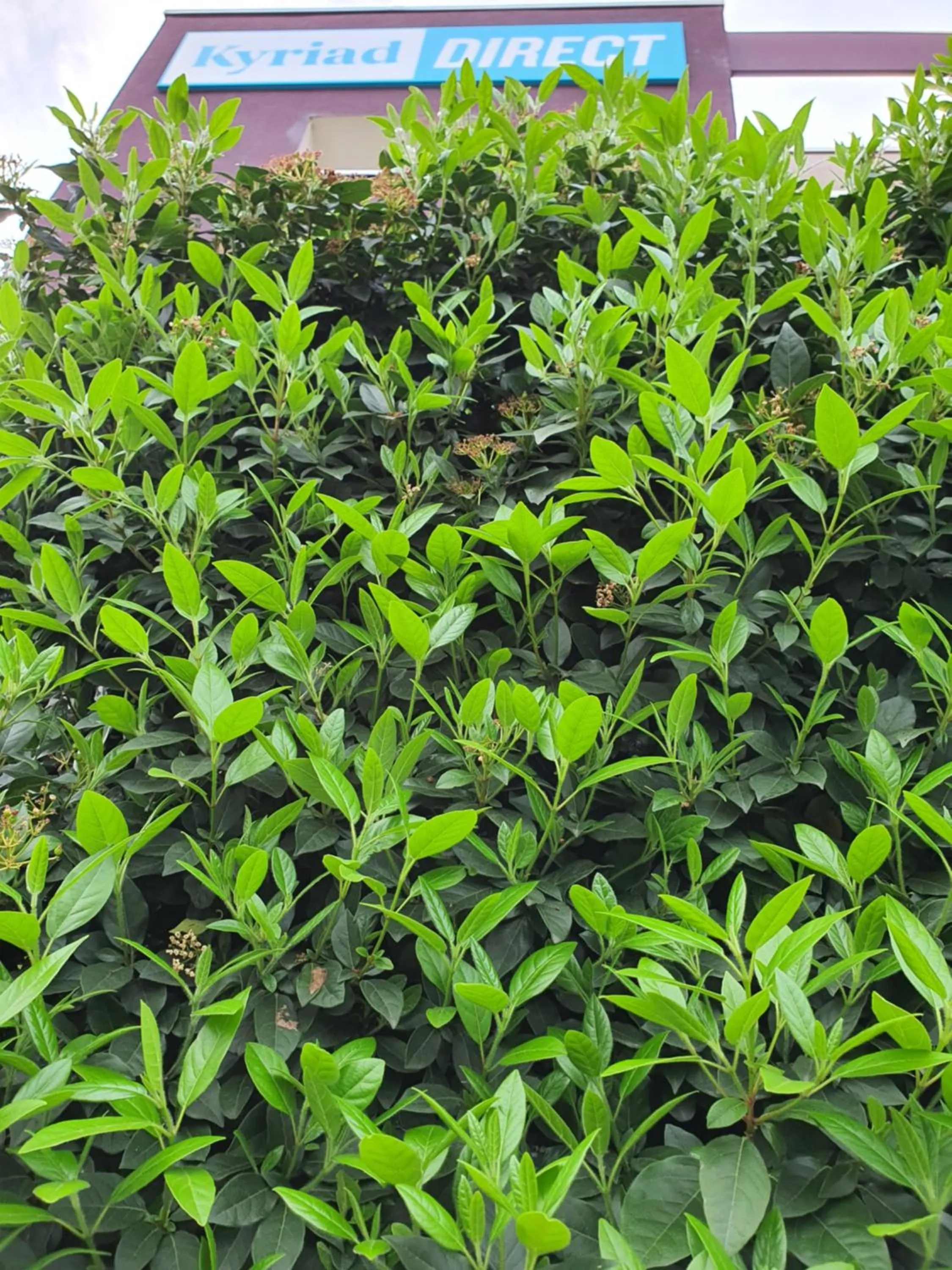 Facade/entrance in Kyriad Direct Chilly-Mazarin